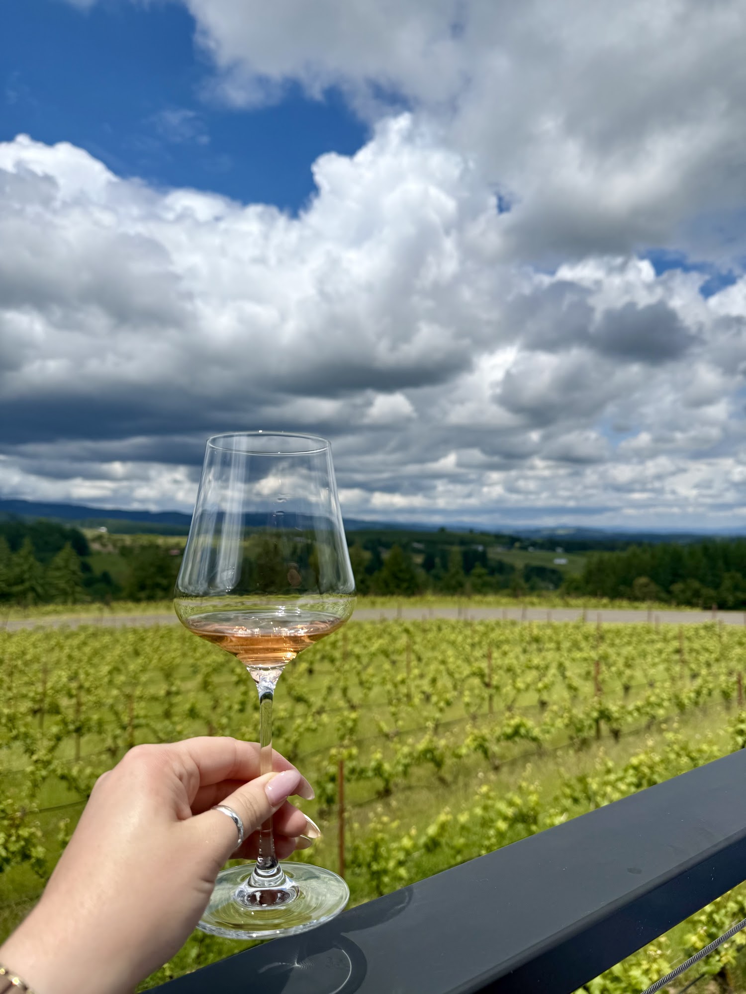 Ponzi Vineyards Menu