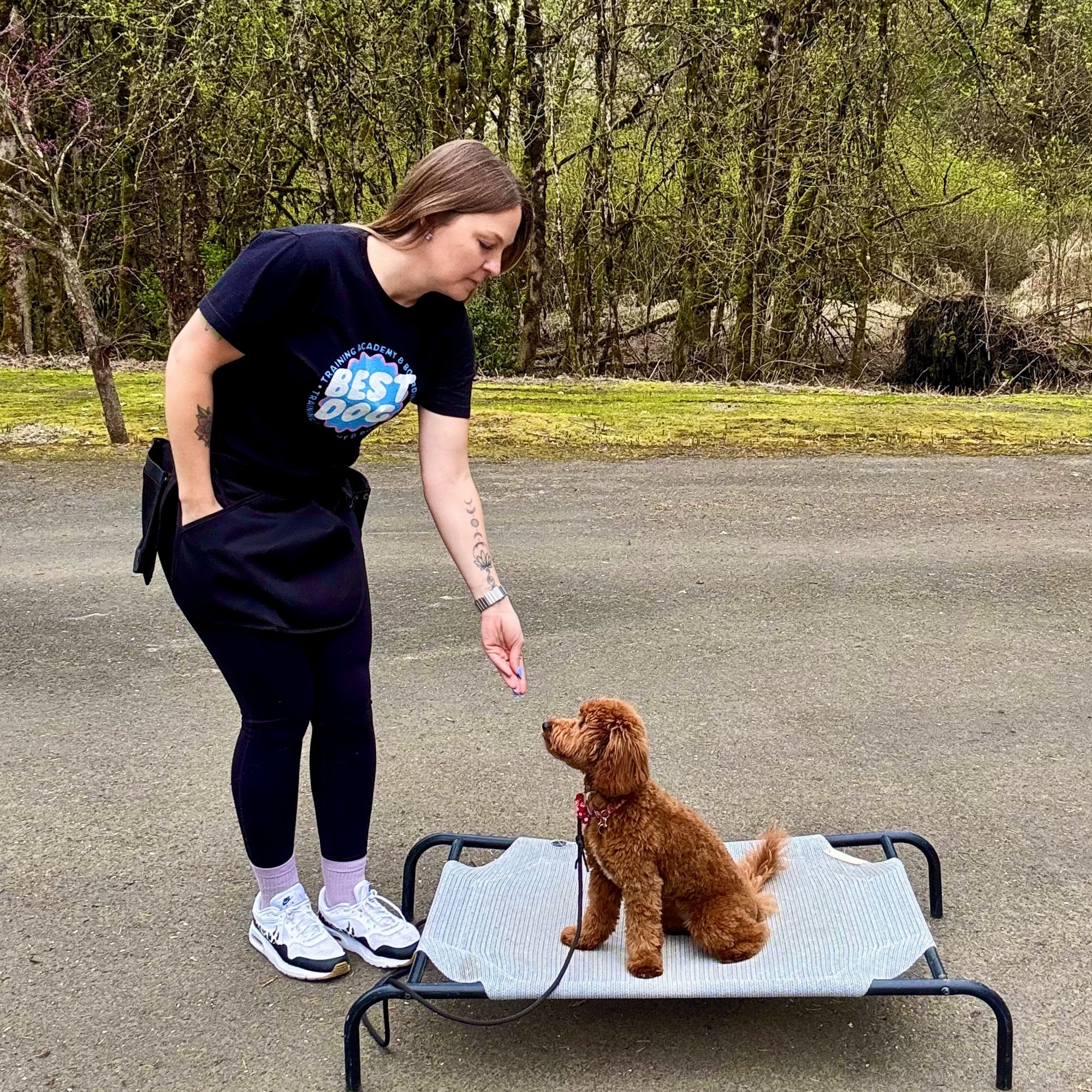 Om Dog Club Sherwood