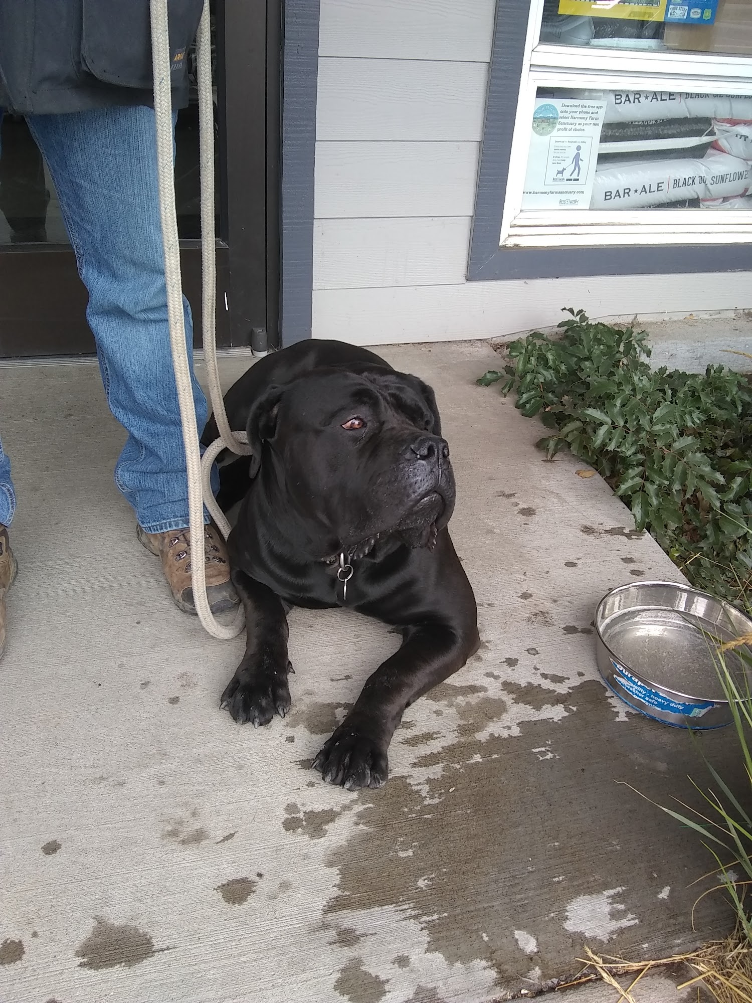 Sisters Feed & Supply Sisters