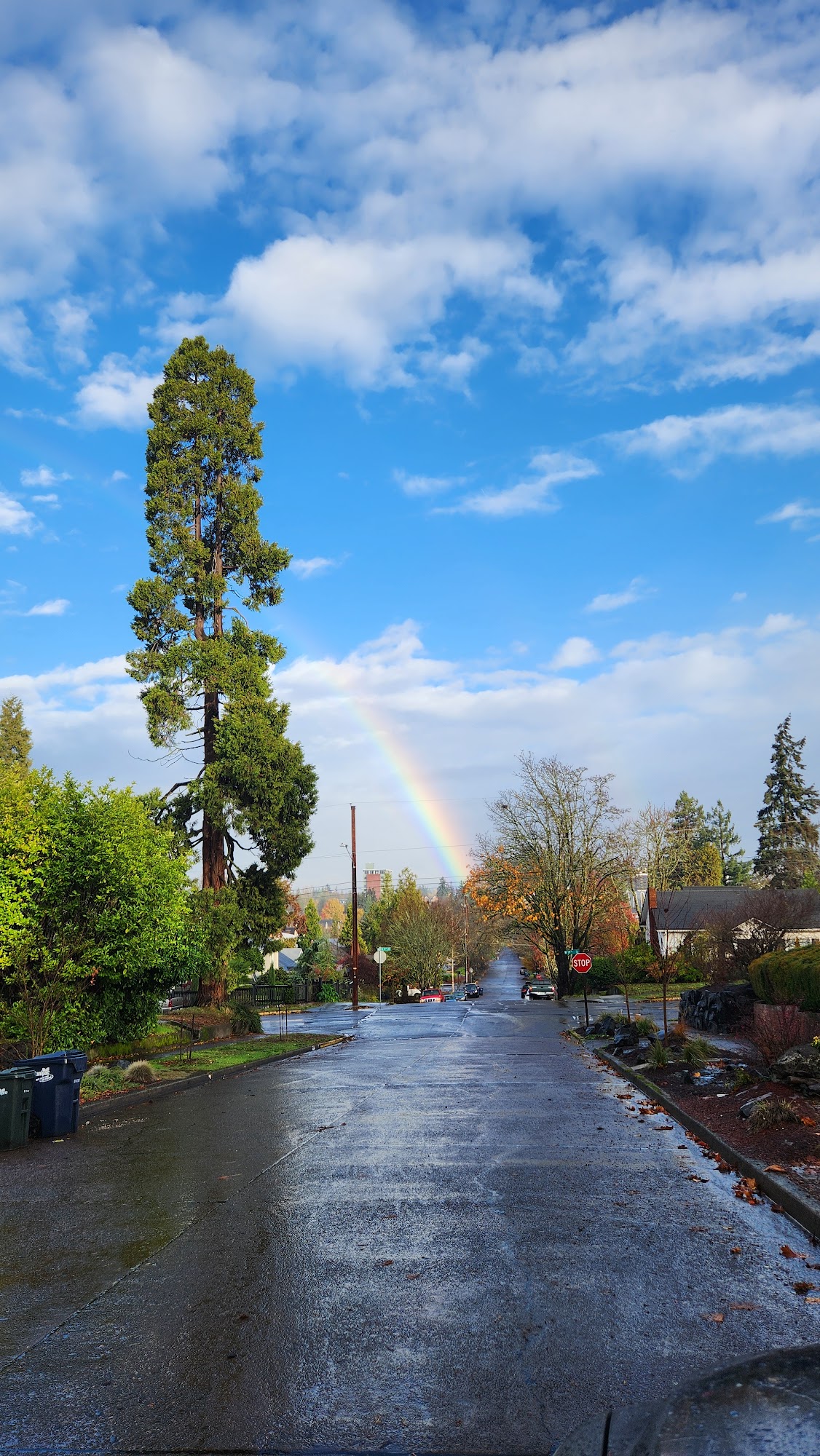 Medallion Landscape Service, Inc.