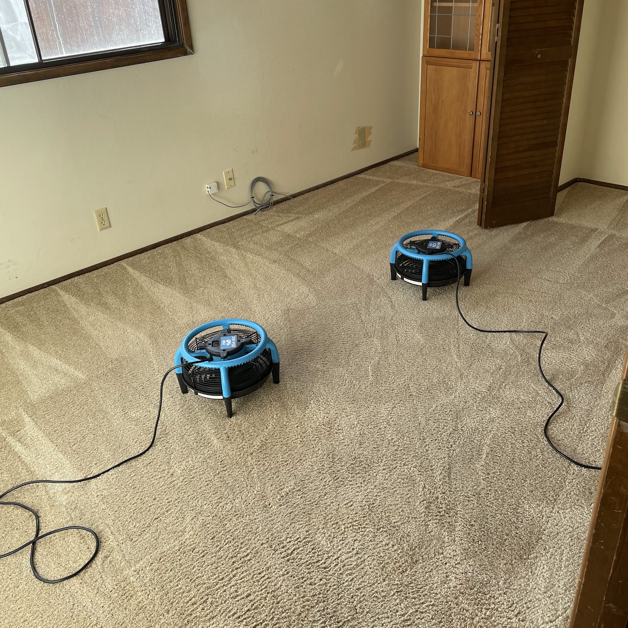 Steam Masters Carpet & Floor Care
