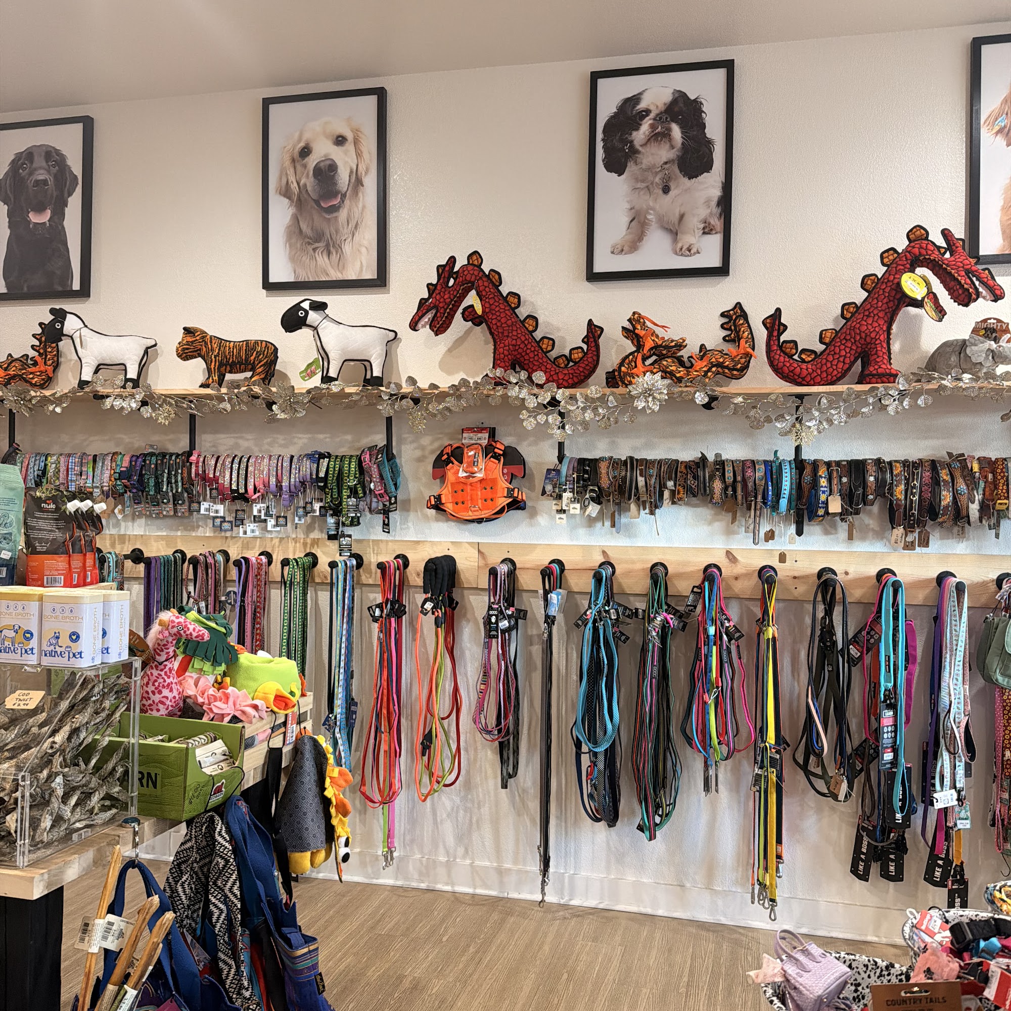 Pup’s Place Grooming & Retail Pet Store 347 Main St, Springfield Oregon 97477