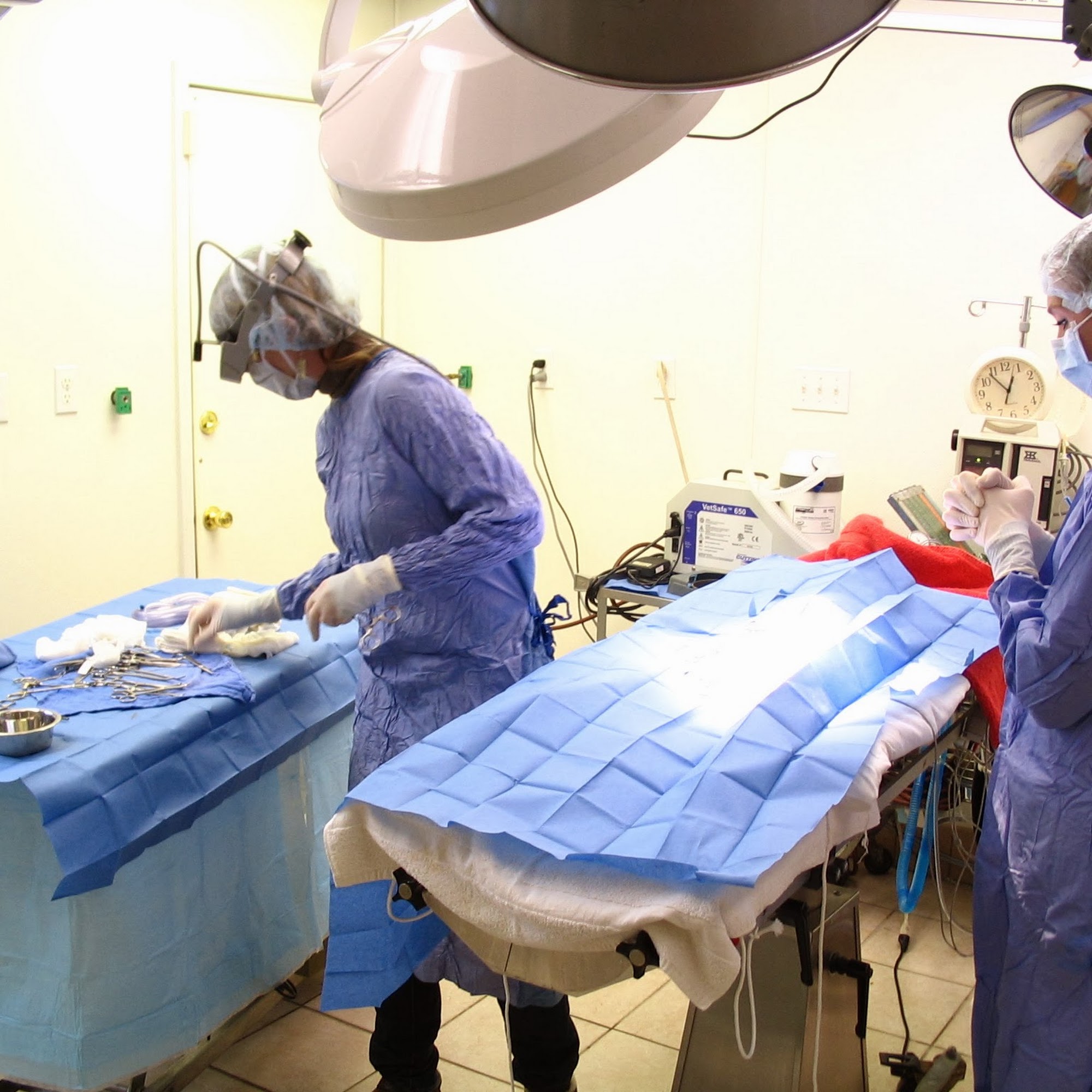 Timber's Veterinary Services Sutherlin