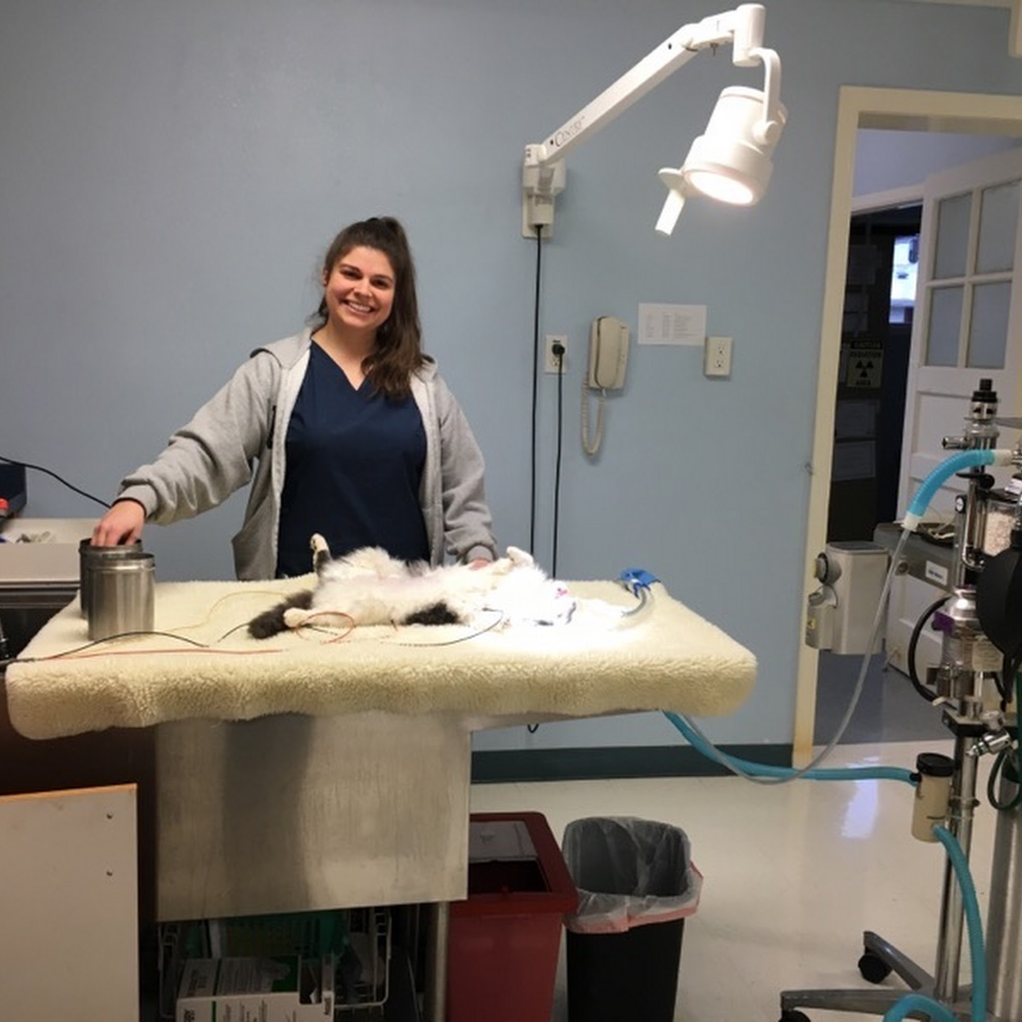 Sweet Home Veterinary Hospital Sweet Home