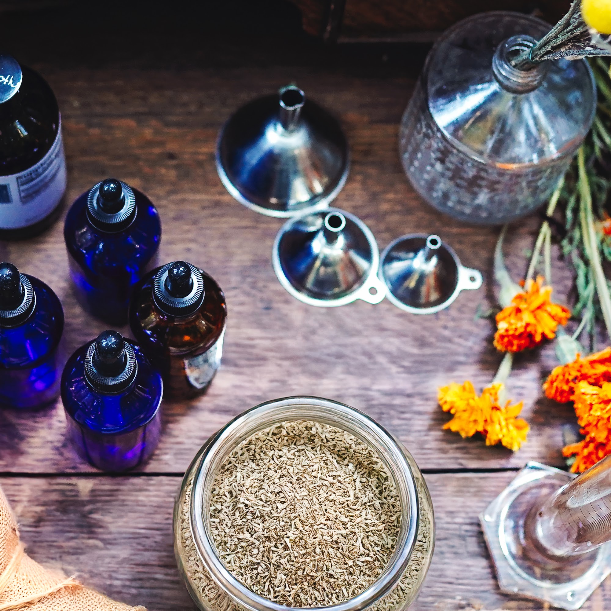 Earth Medicine Veterinary Acupuncture & Herbs Talent