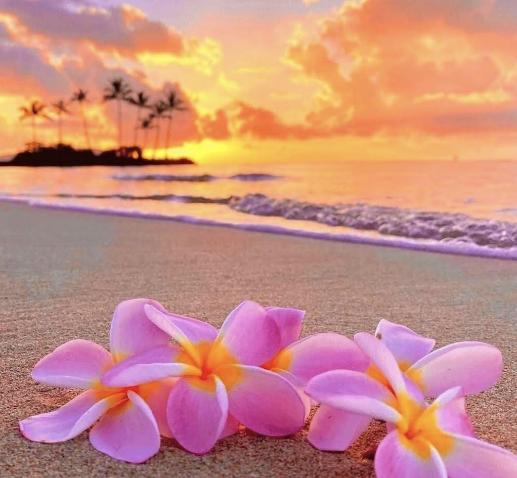 Lilo's Hawaiian BBQ The Dalles The Dalles