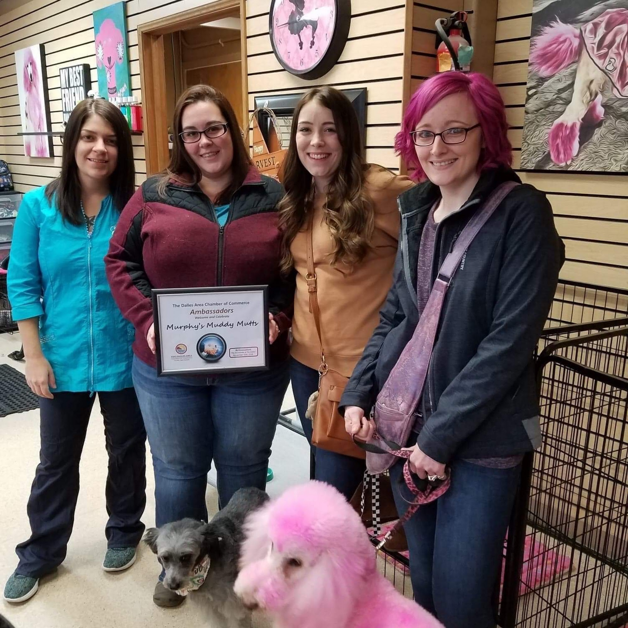 The Pink Poodle Grooming Salon LLC The Dalles