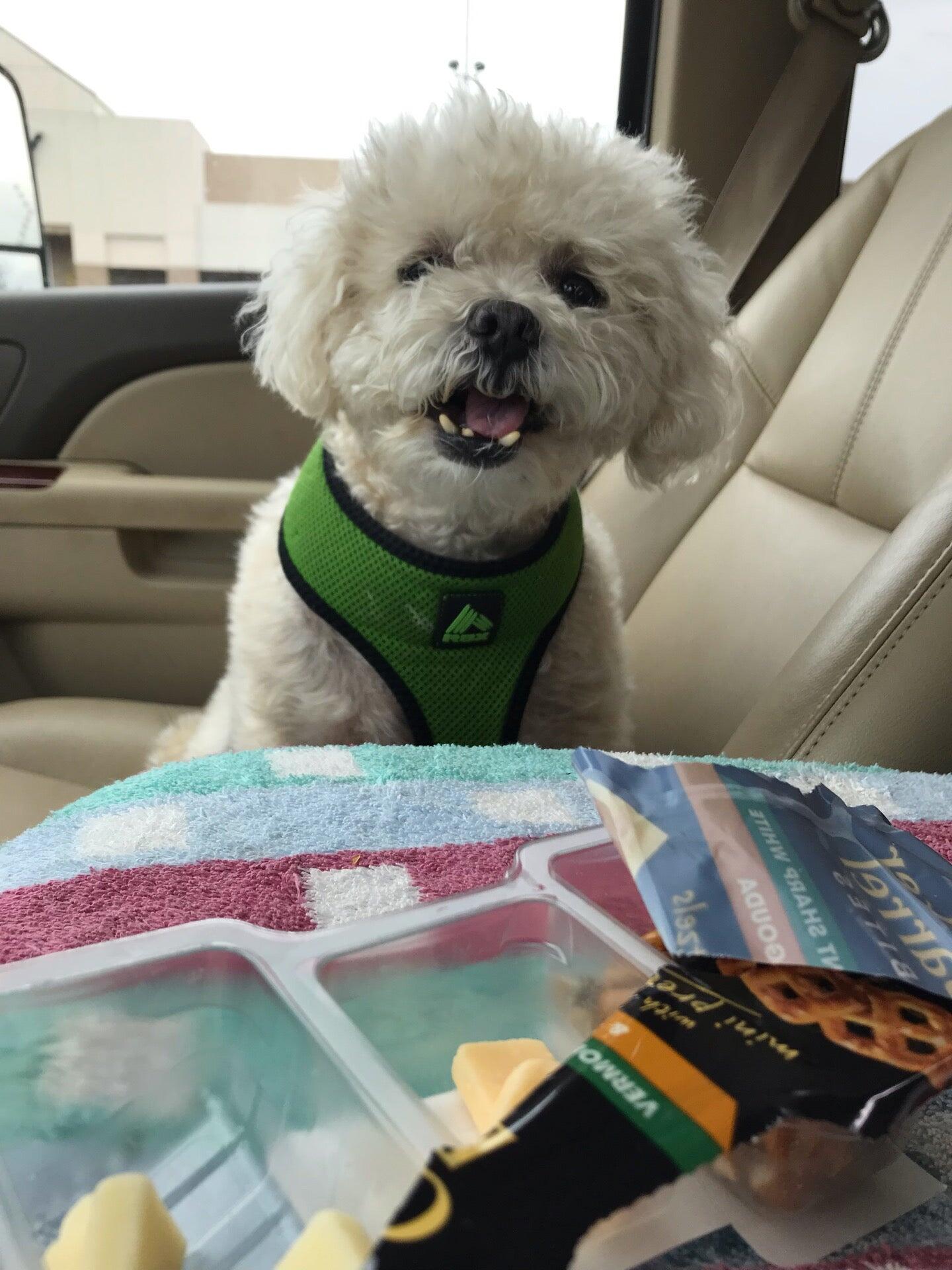 Photo credit: nextdoor