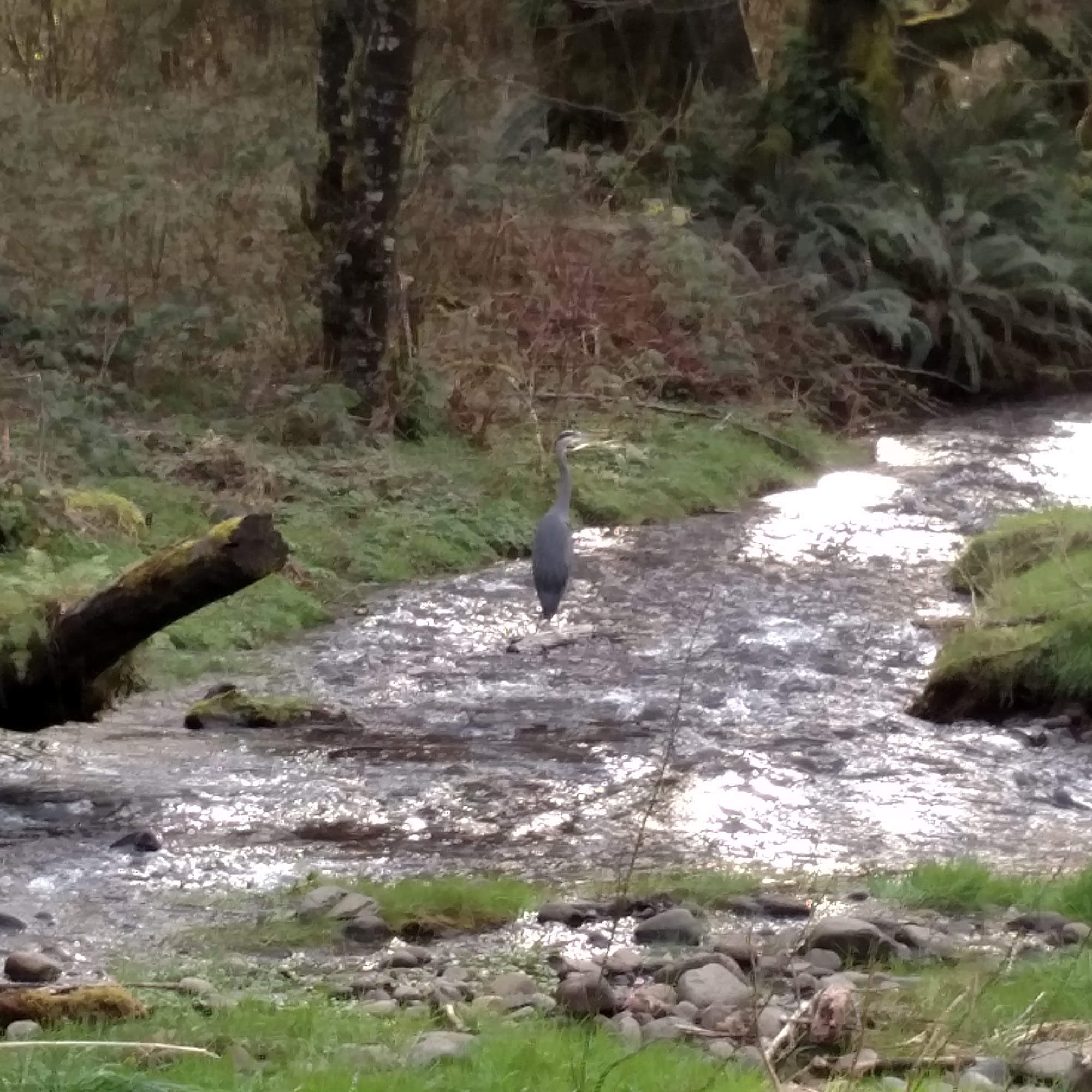 Two Hats Ranch Horse Boarding, Training and Lessons Tillamook