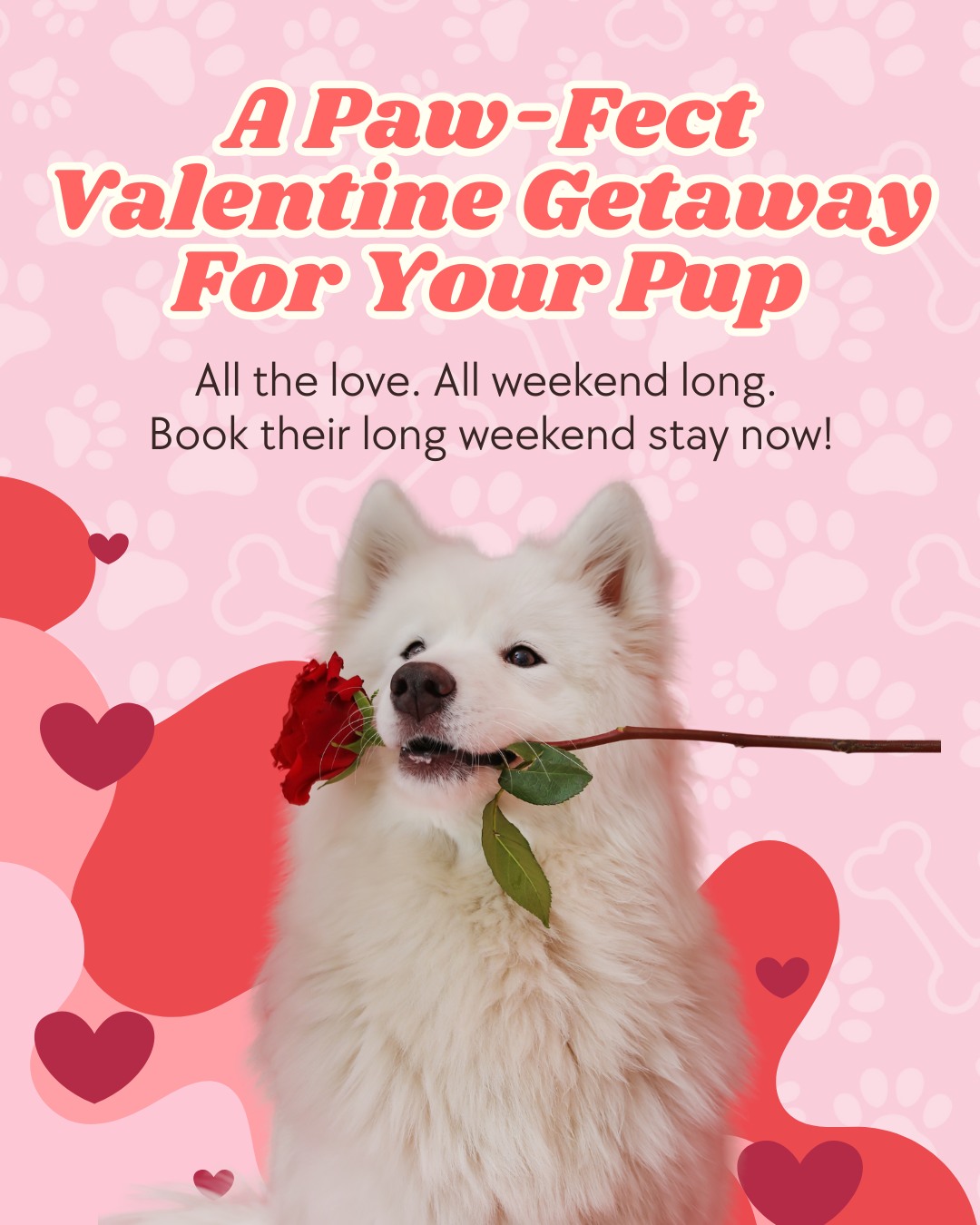 Reynolds Dog Resort & Training Center Tualatin