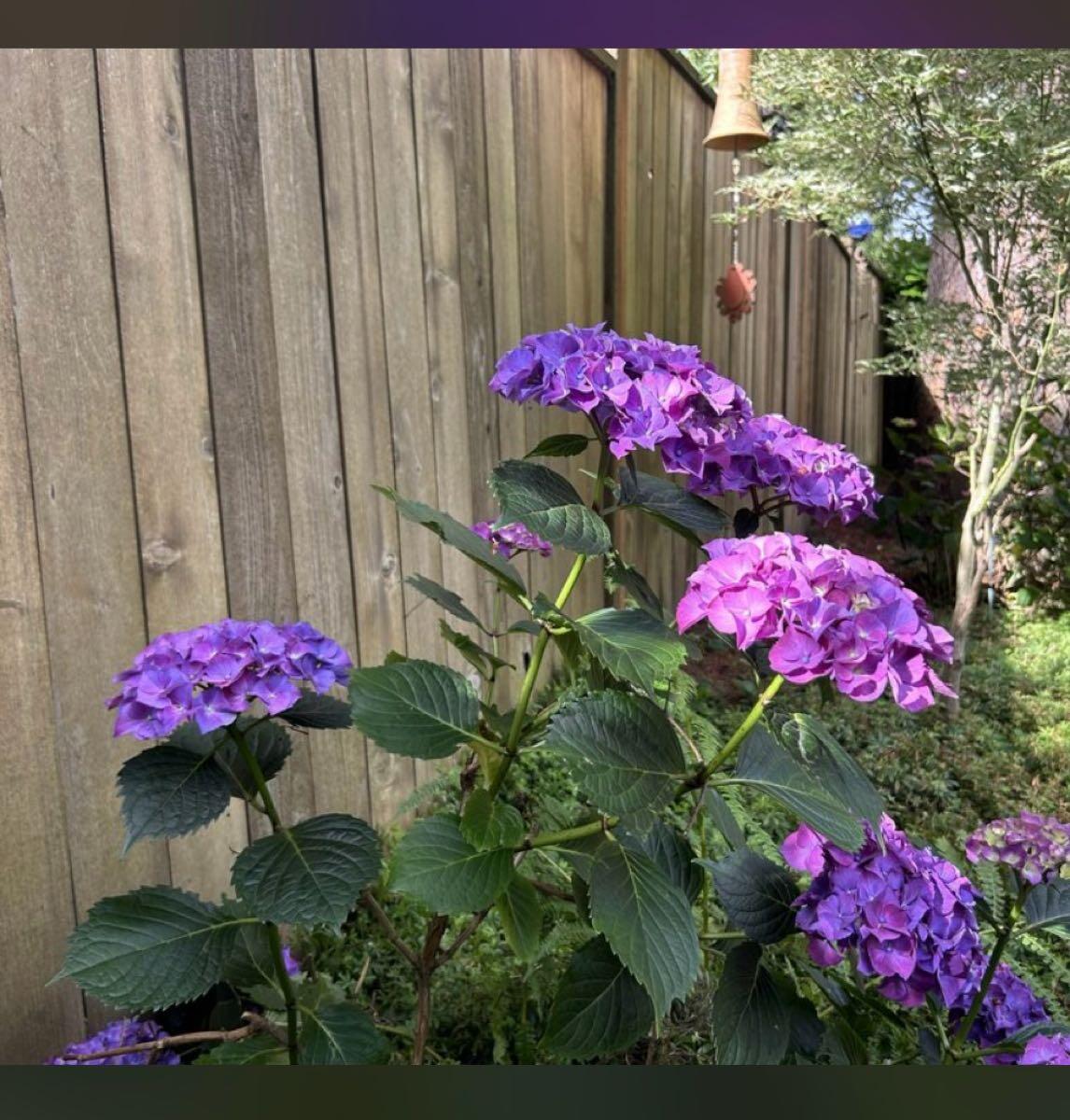 PDX Landscaping and Hardscaping