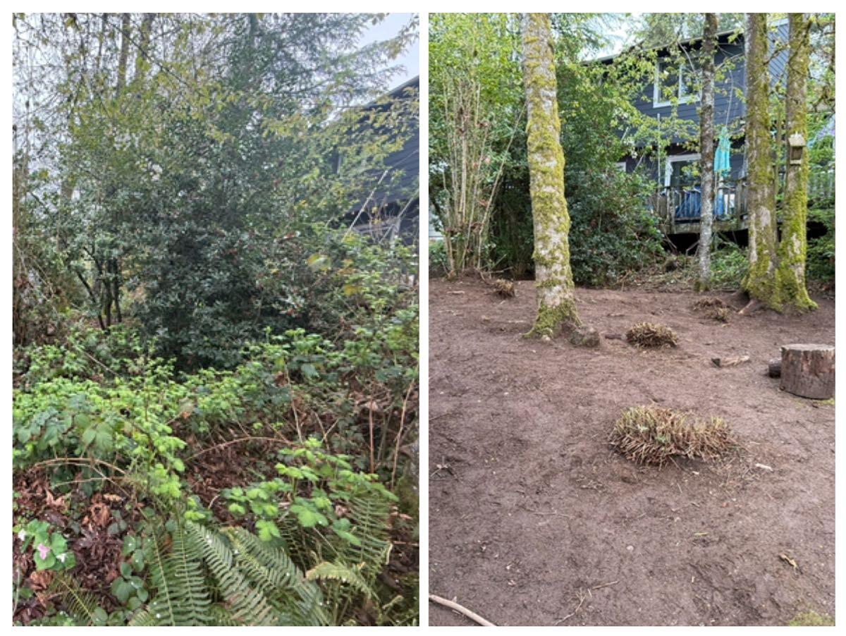 PDX Landscaping and Hardscaping