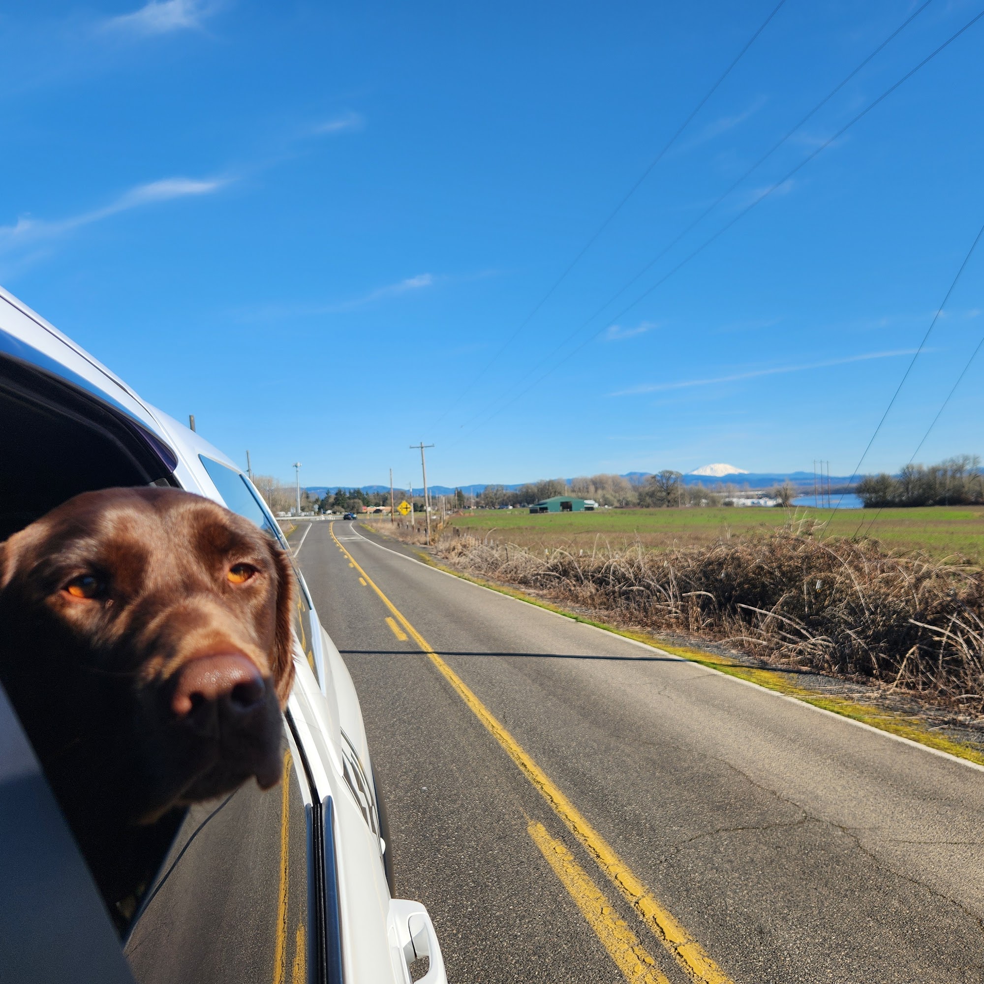 Midway Veterinary Hospital Warren