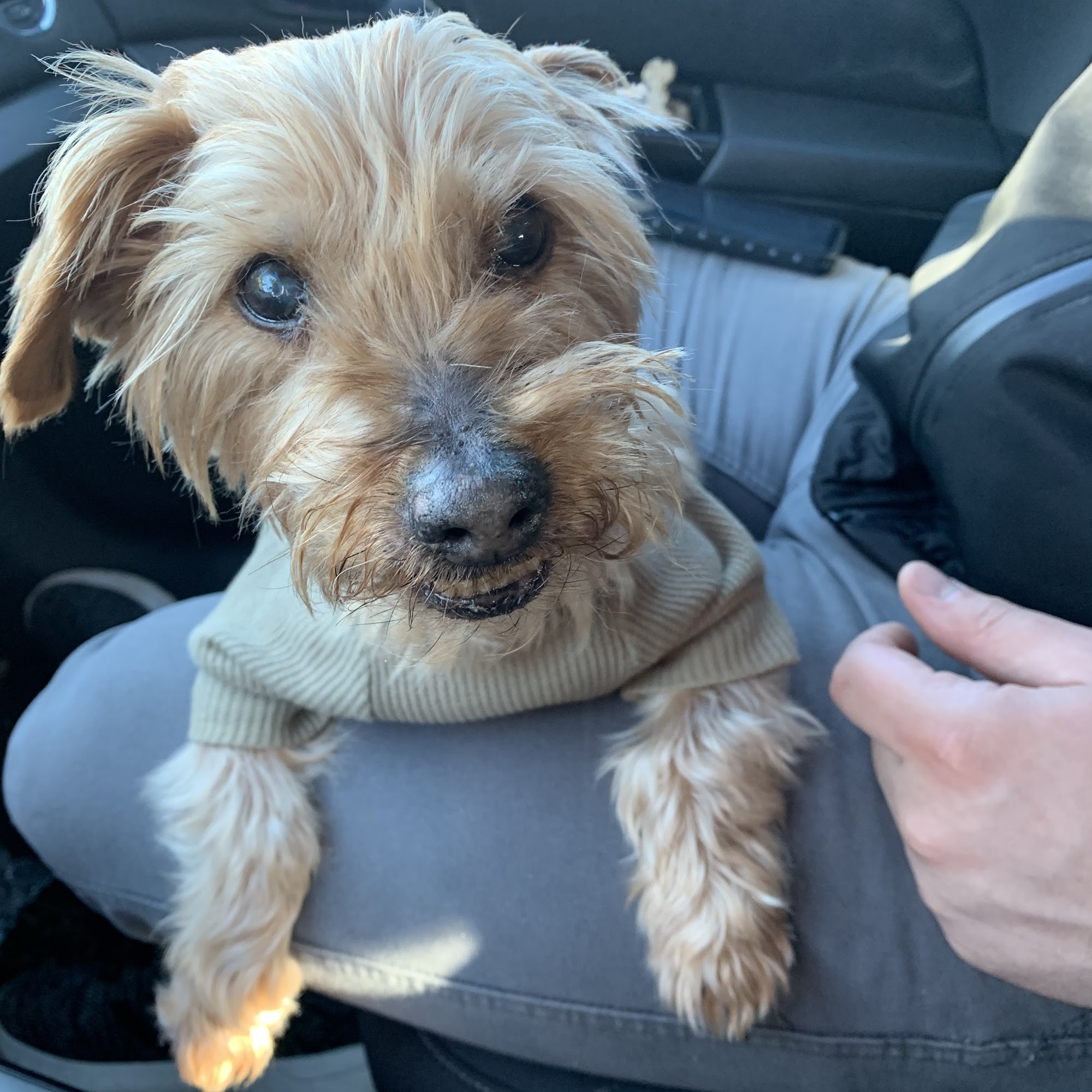 Bayshore Animal Hospital Warrenton