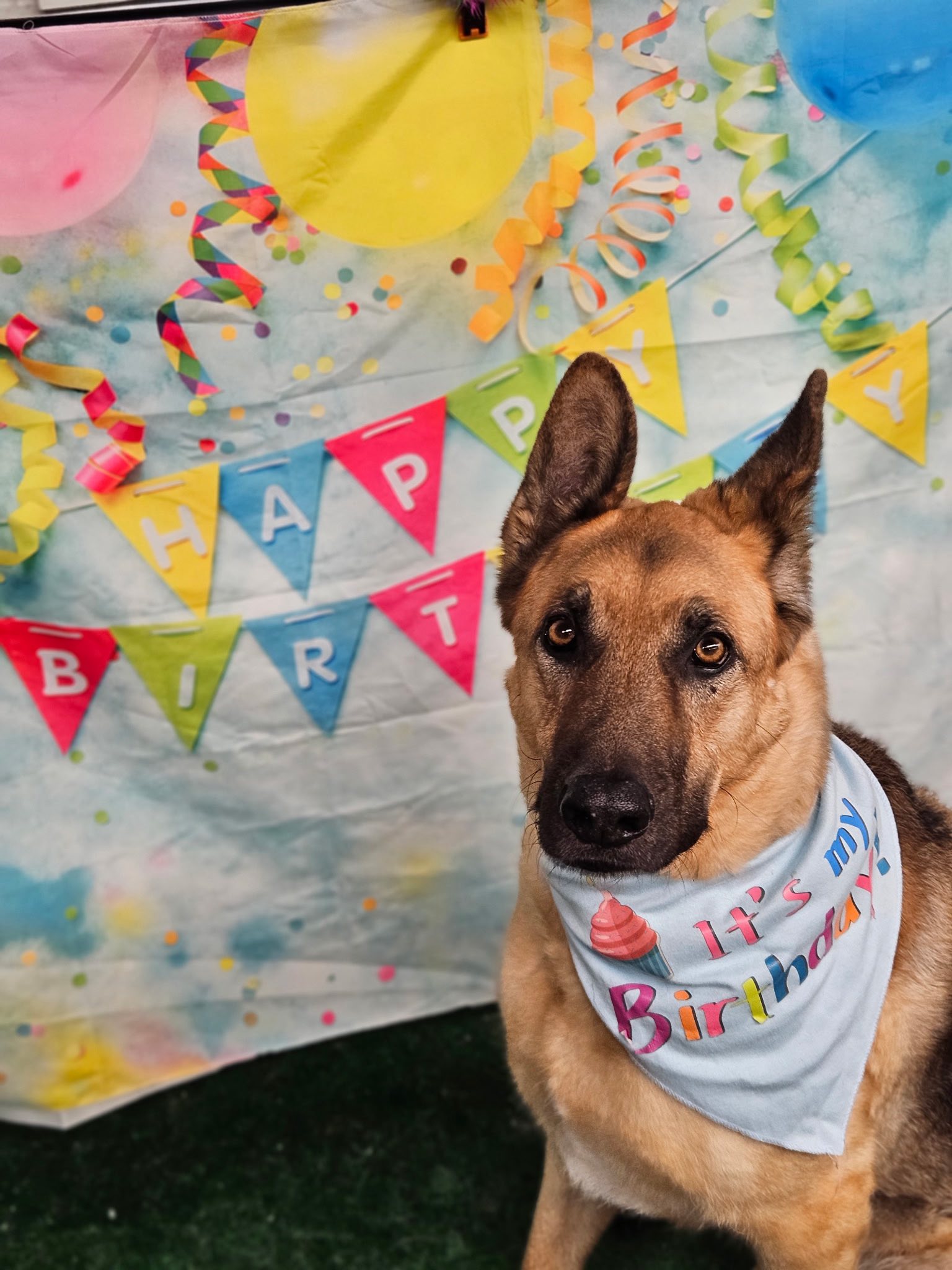 Bay Breeze Boarding & Grooming Warrenton