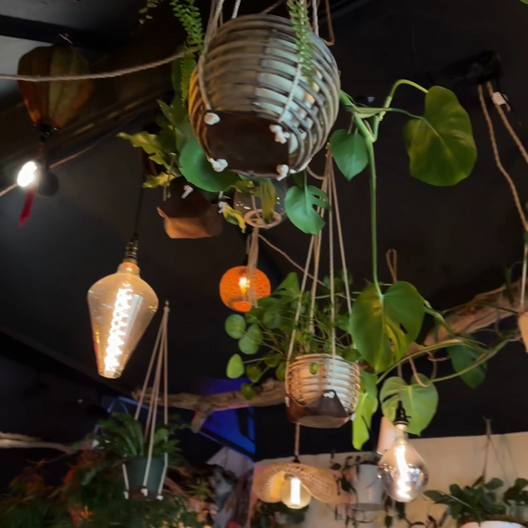 Koya Kitchen Welches