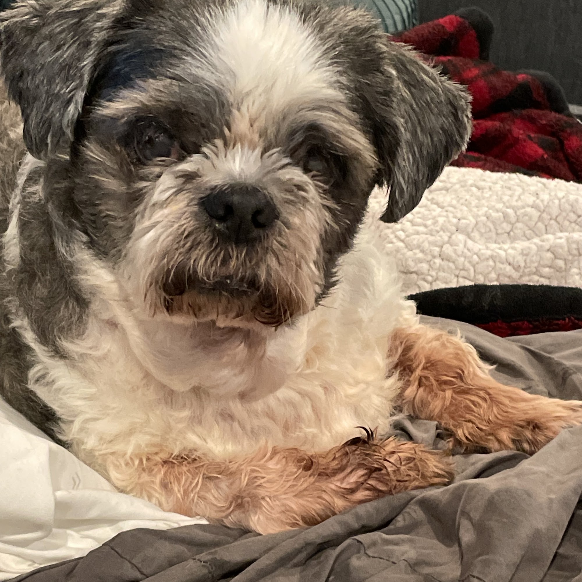 Woodburn Veterinary Clinic: Cochell, Debbie & Titus, Nancy DVM Woodburn