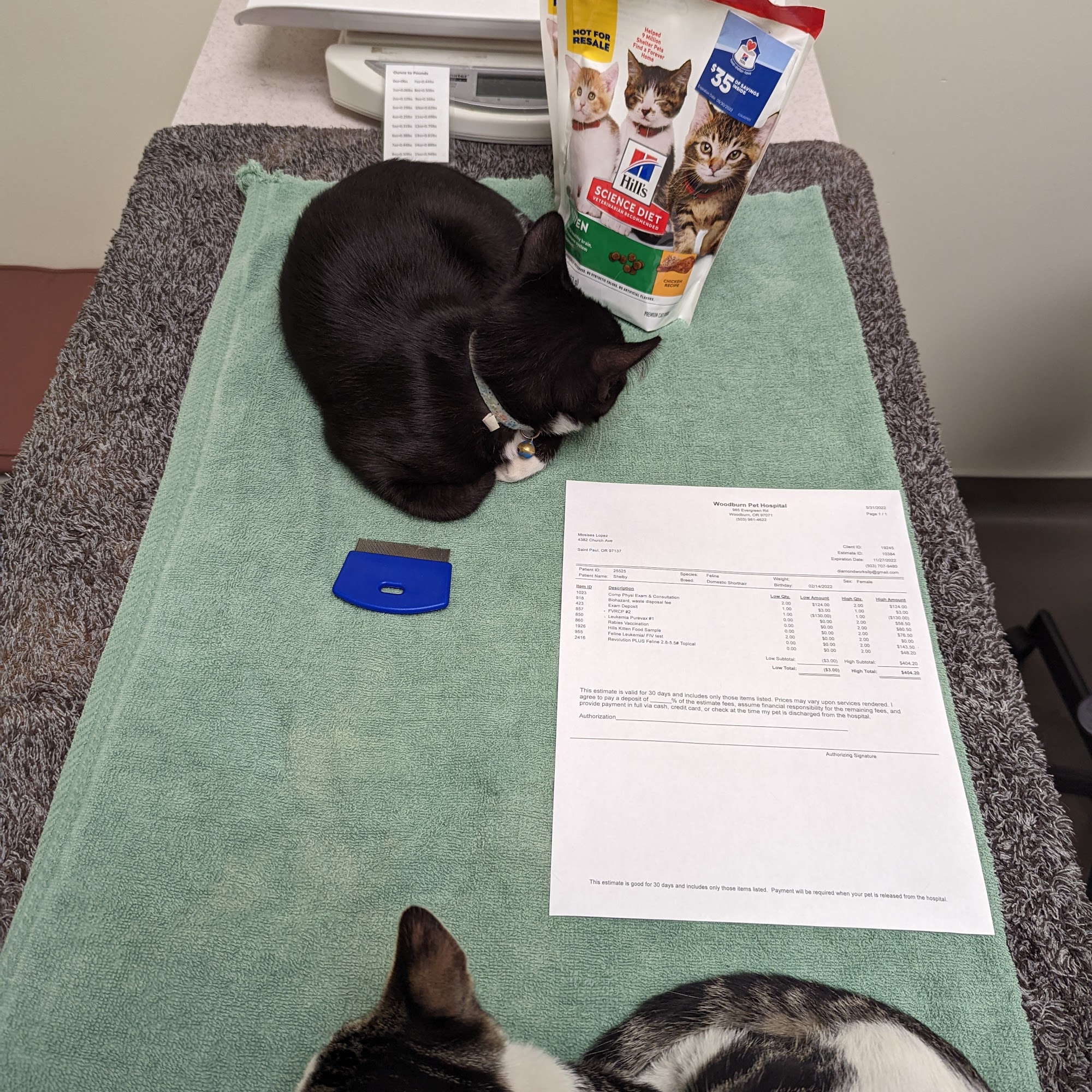 Woodburn Pet Hospital Woodburn