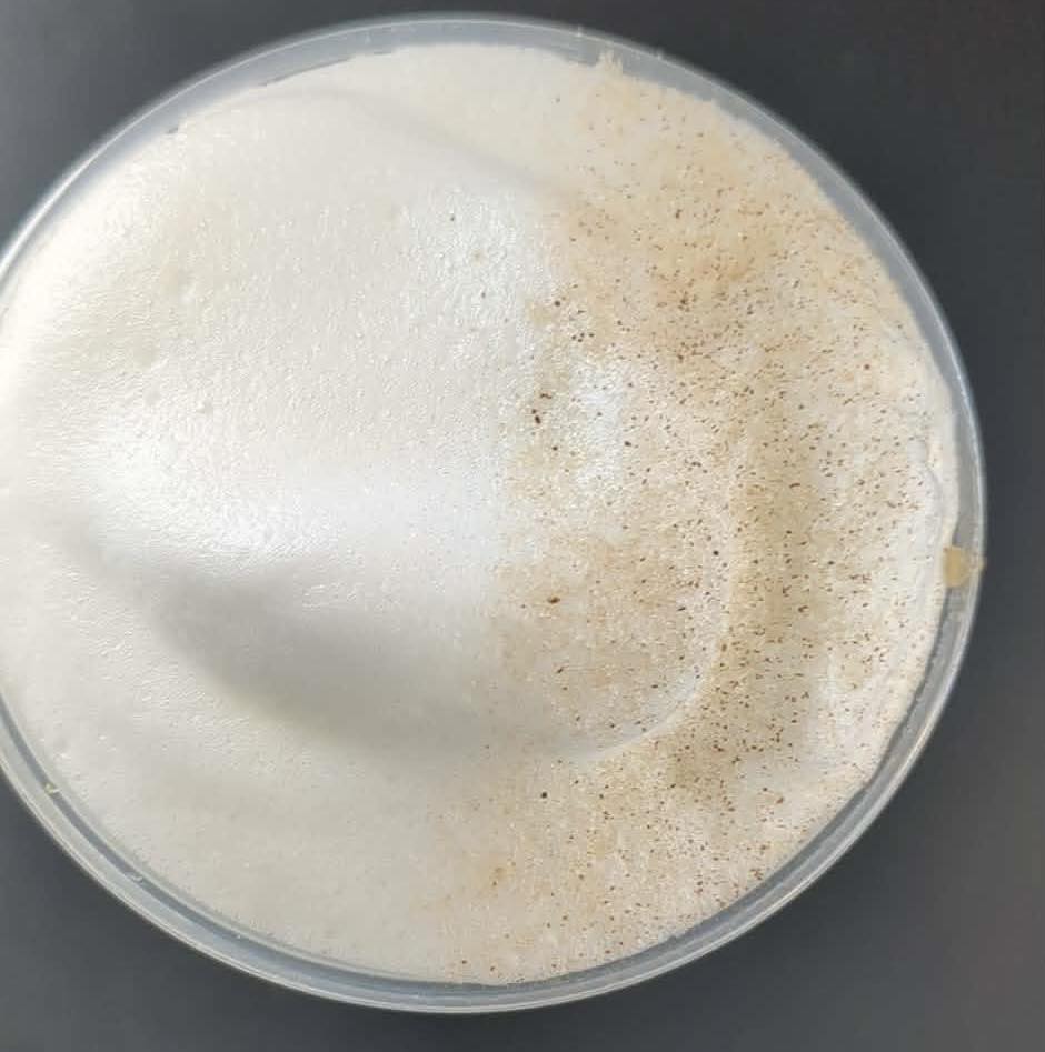 The Village Bean Yachats