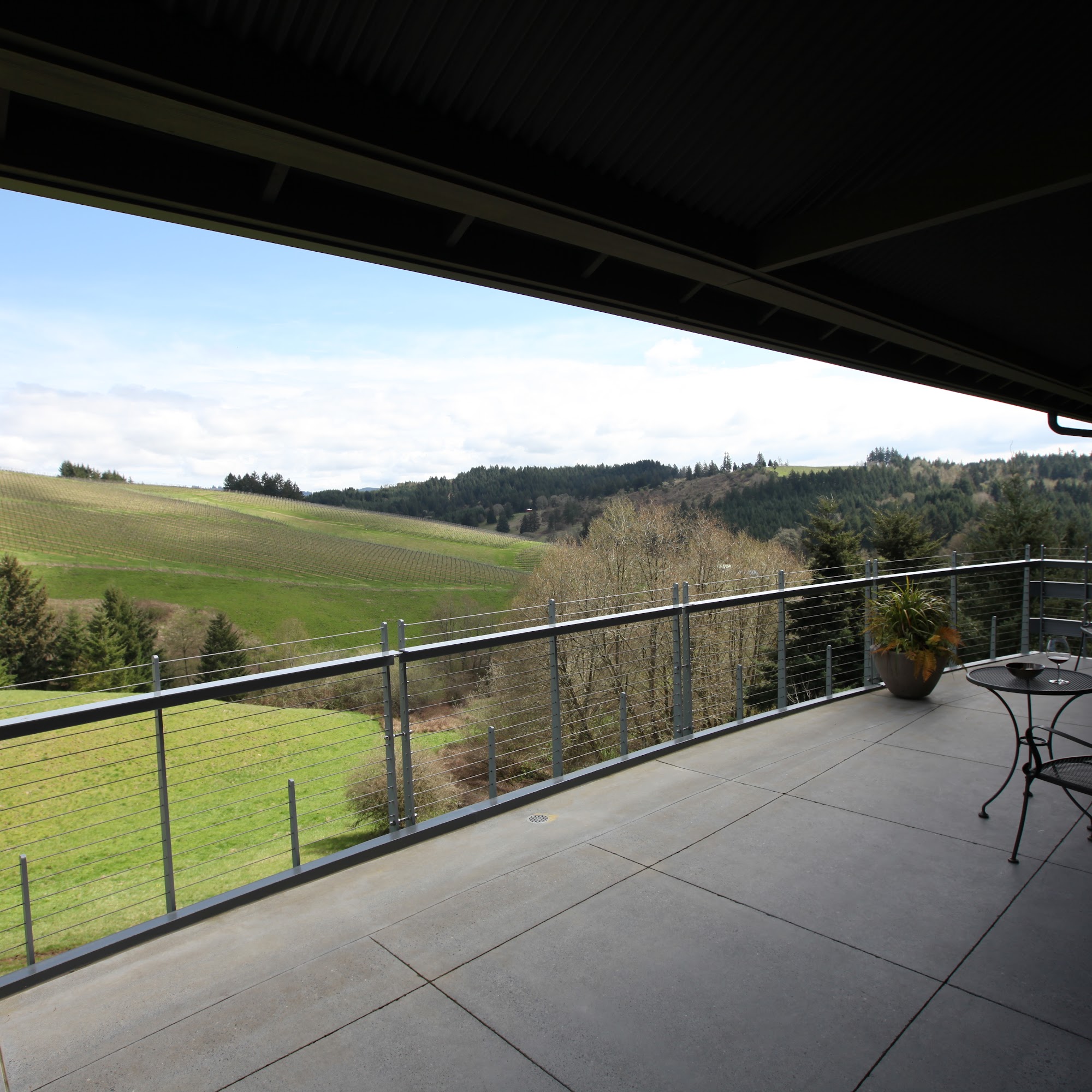 WillaKenzie Estate | Vineyard Yamhill