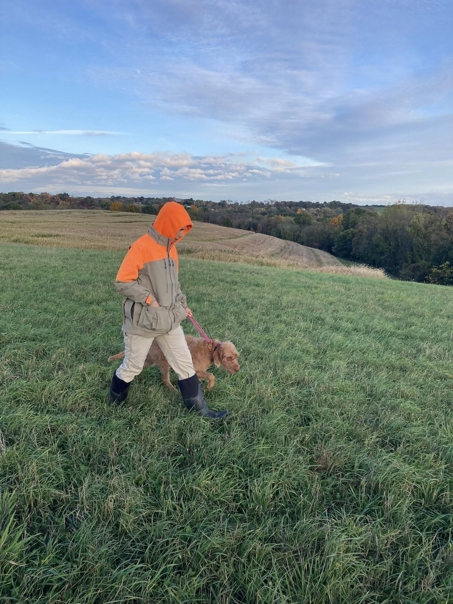 Kerlin Kanine Training