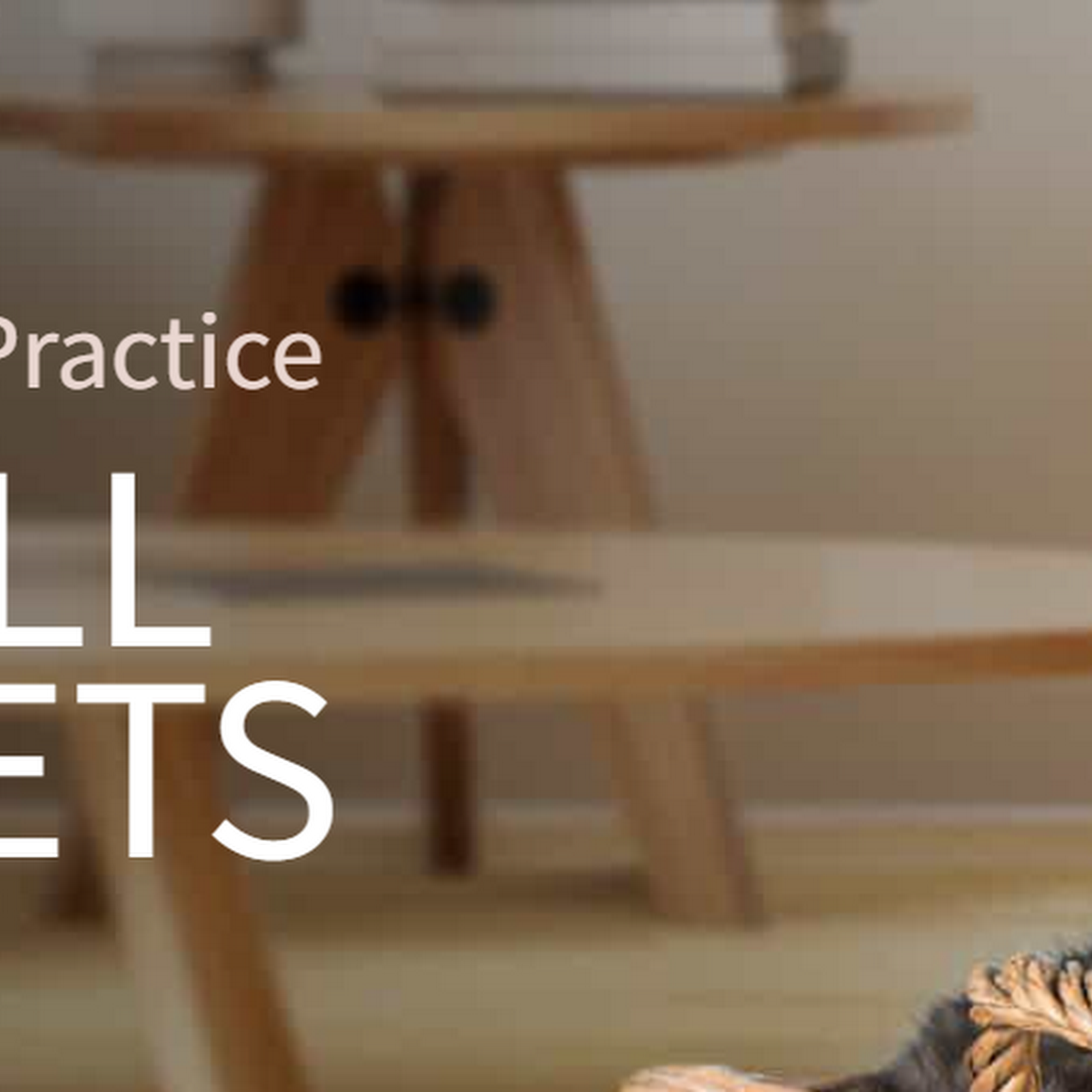 Allentown Animal Clinic Allentown