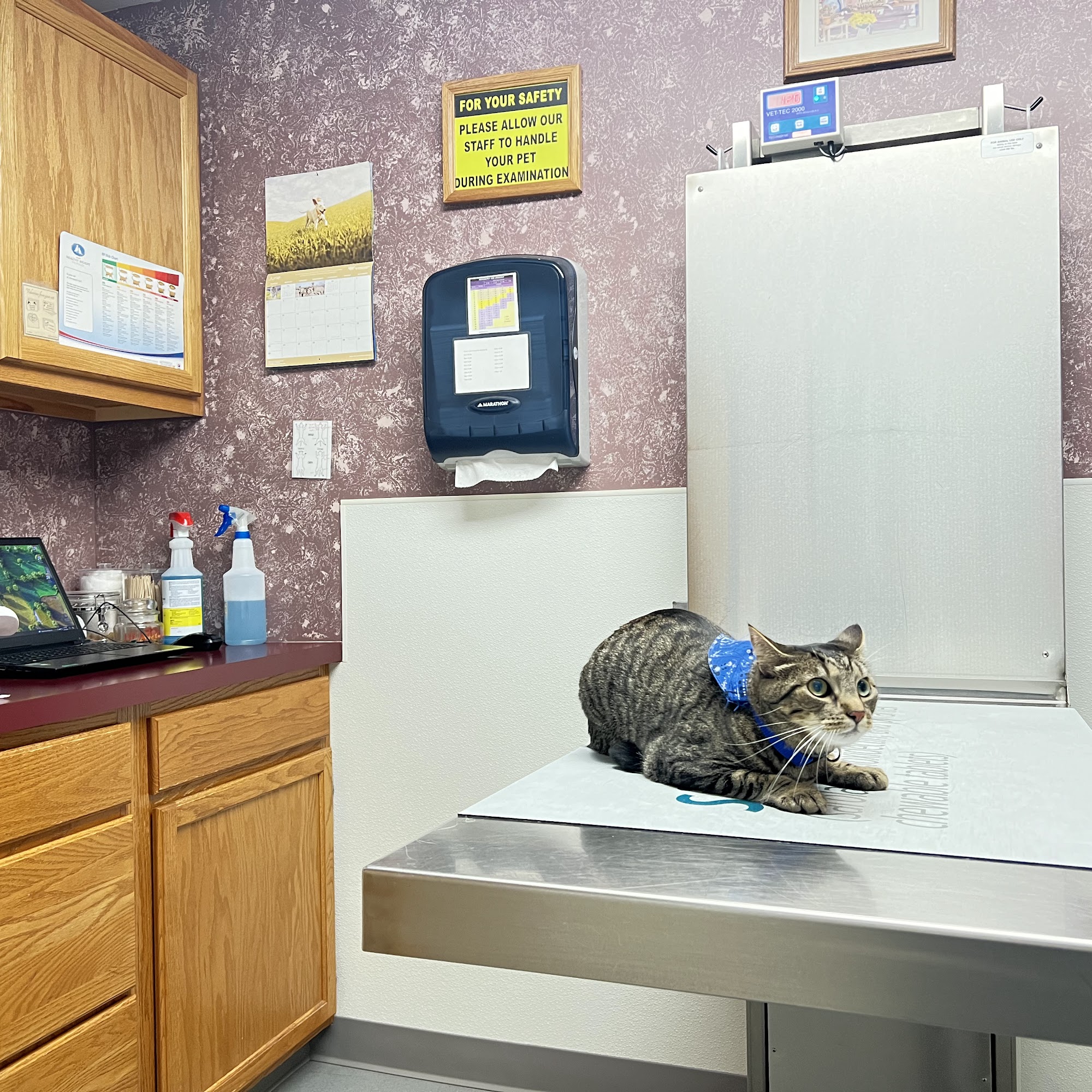 West Valley Animal Hospital Allentown