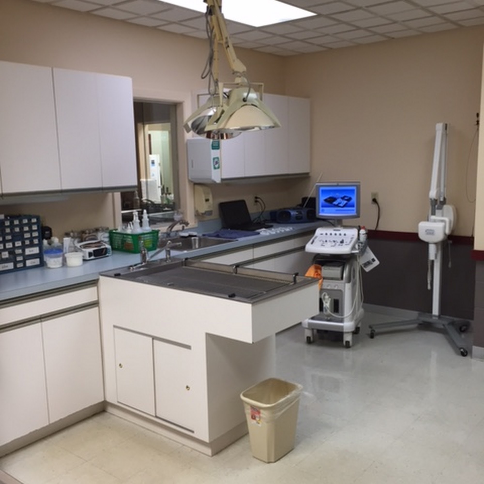 Lakemont Veterinary Clinic, P.C. Altoona