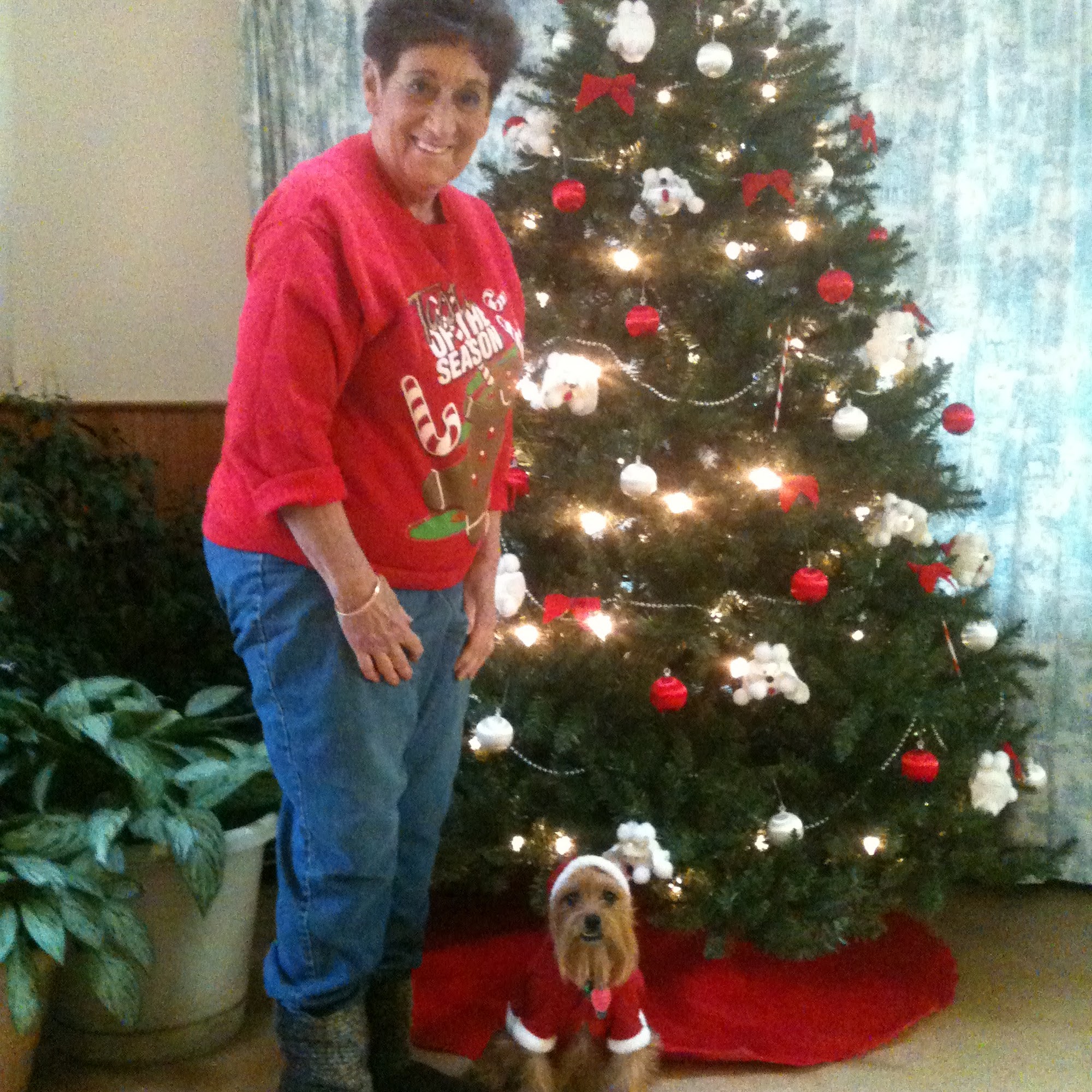 Pleasant Valley Animal Hospital Altoona