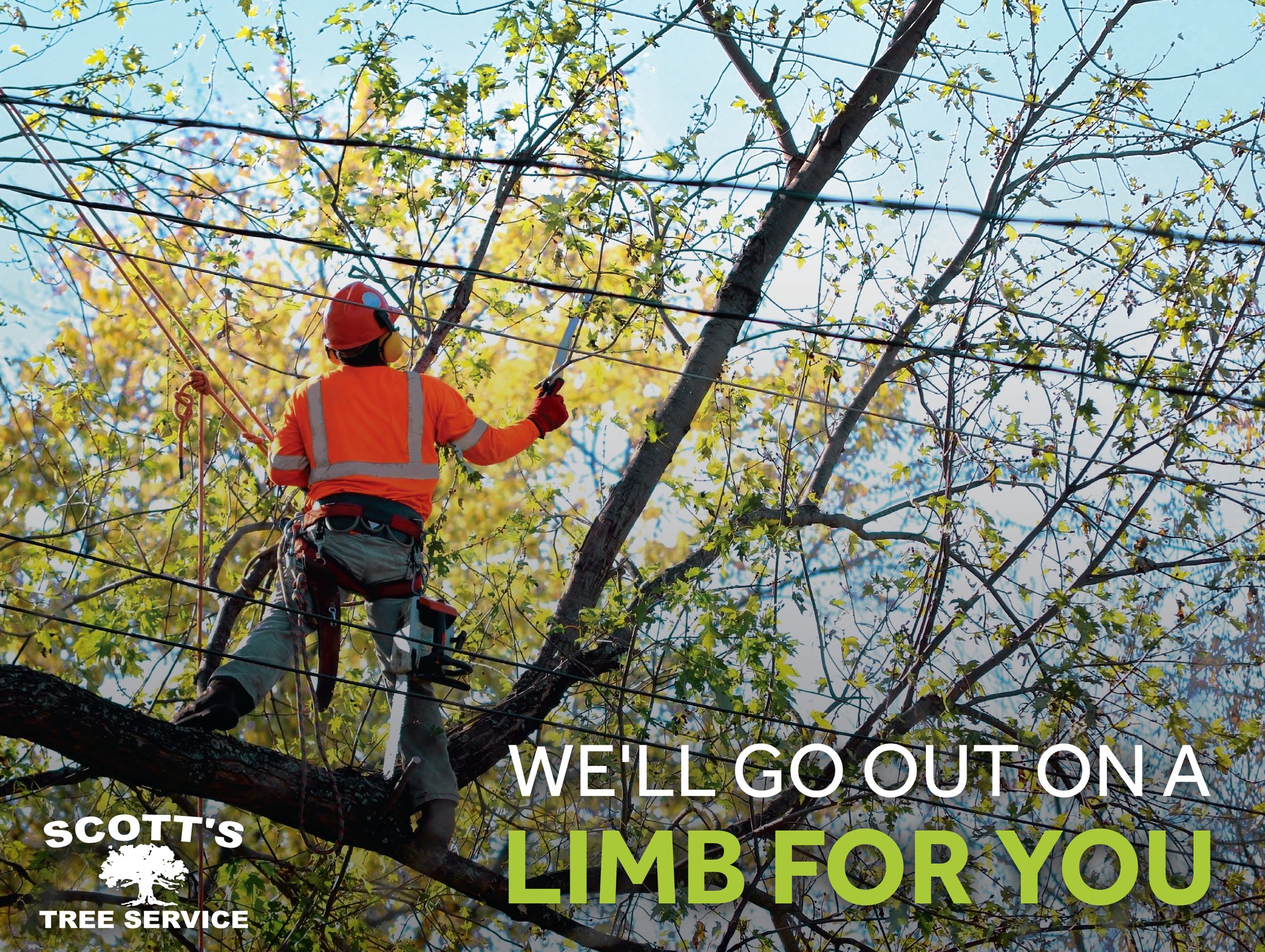 Scott's Tree Service Inc