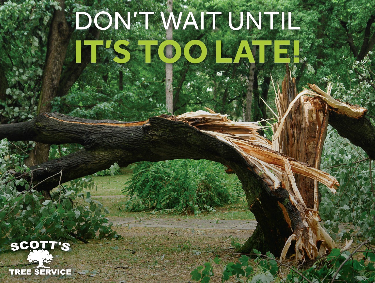 Scott's Tree Service Inc