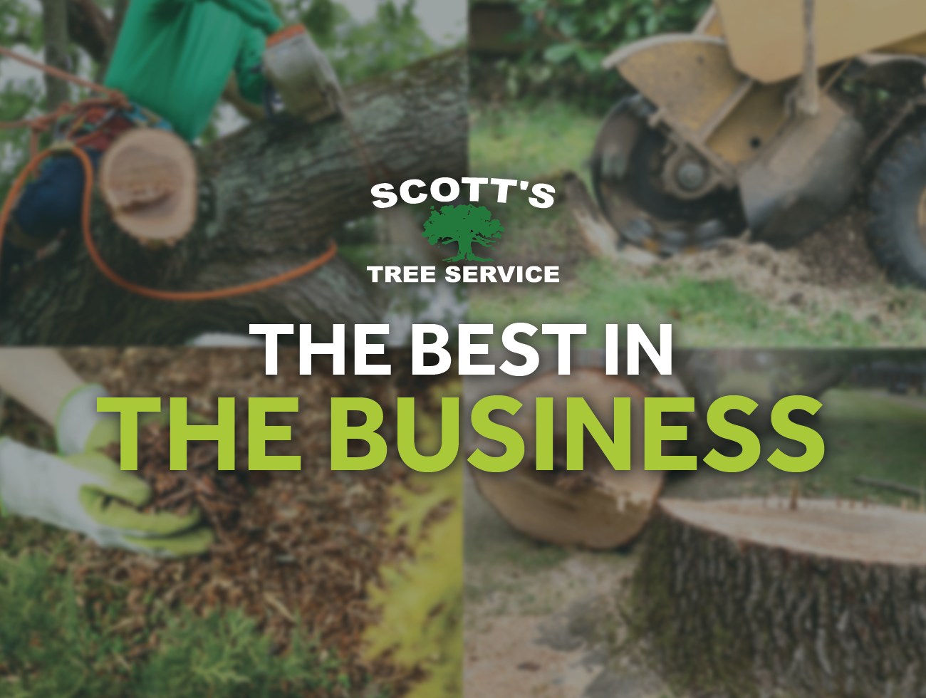 Scott's Tree Service Inc