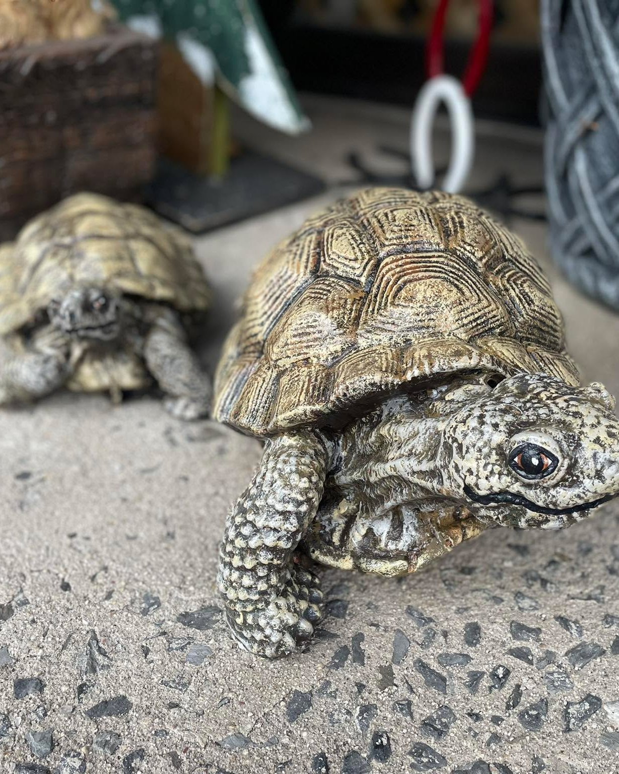 Best of Both Worlds Unique Gifts & Inspiring Decor Andreas