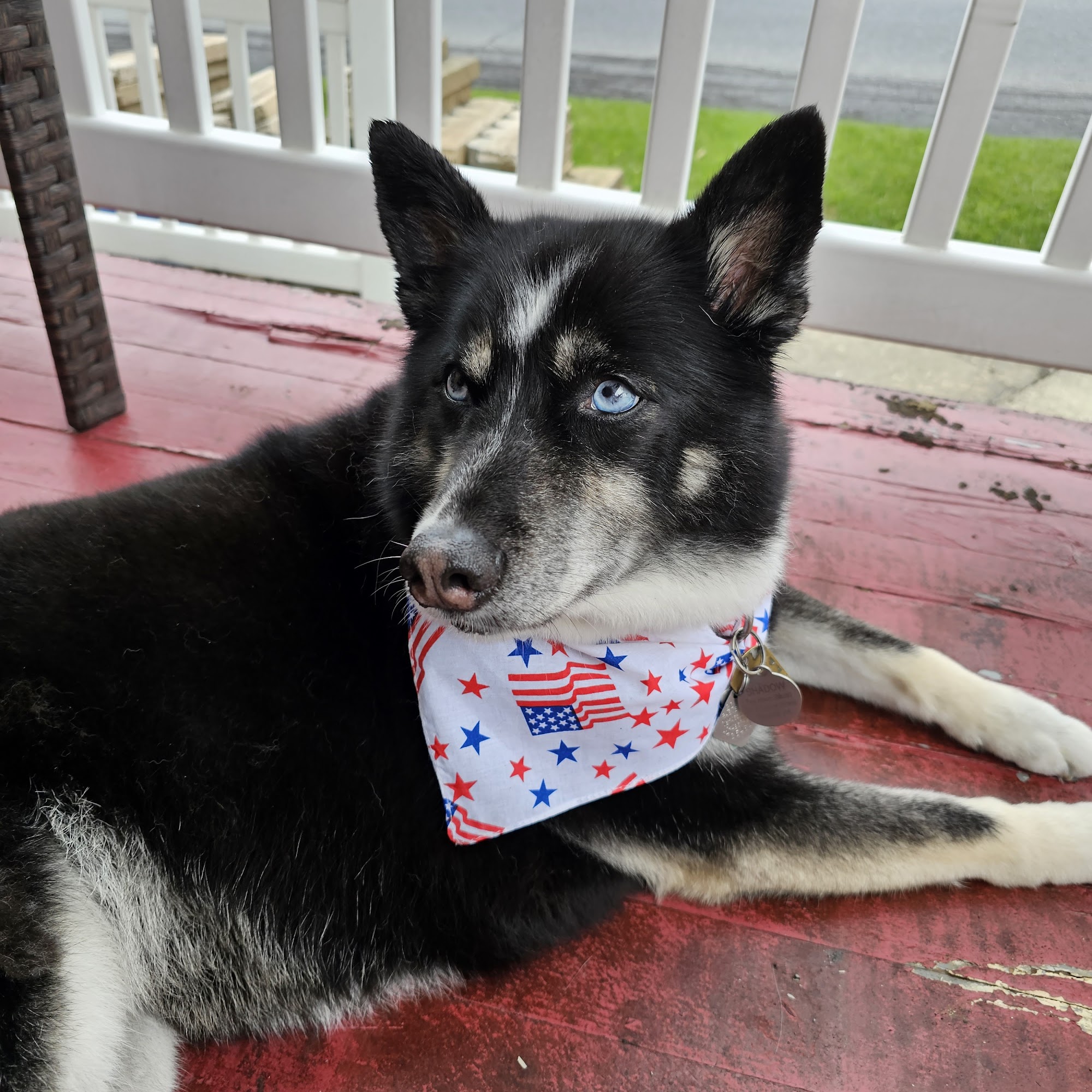 Fox Breeze Kennel & Grooming, INC. Annville