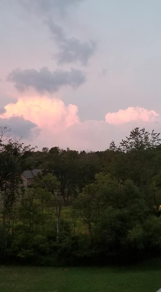 Papa's Painting Inc.