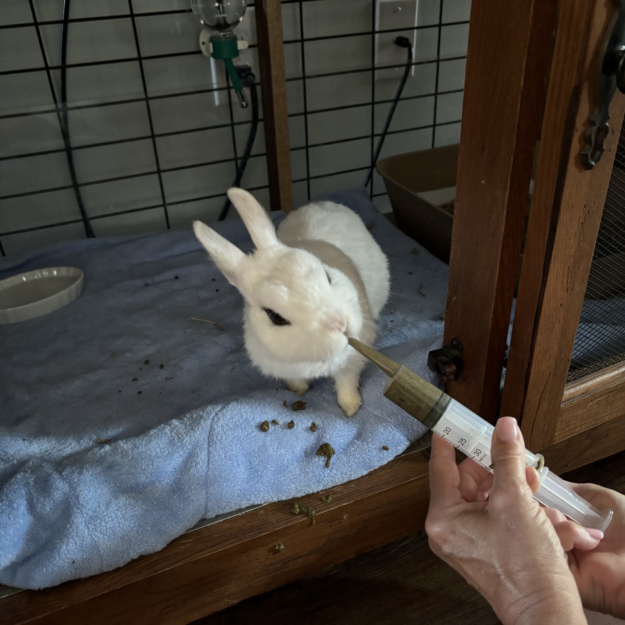 Avian & Exotic Animal Medical Aston