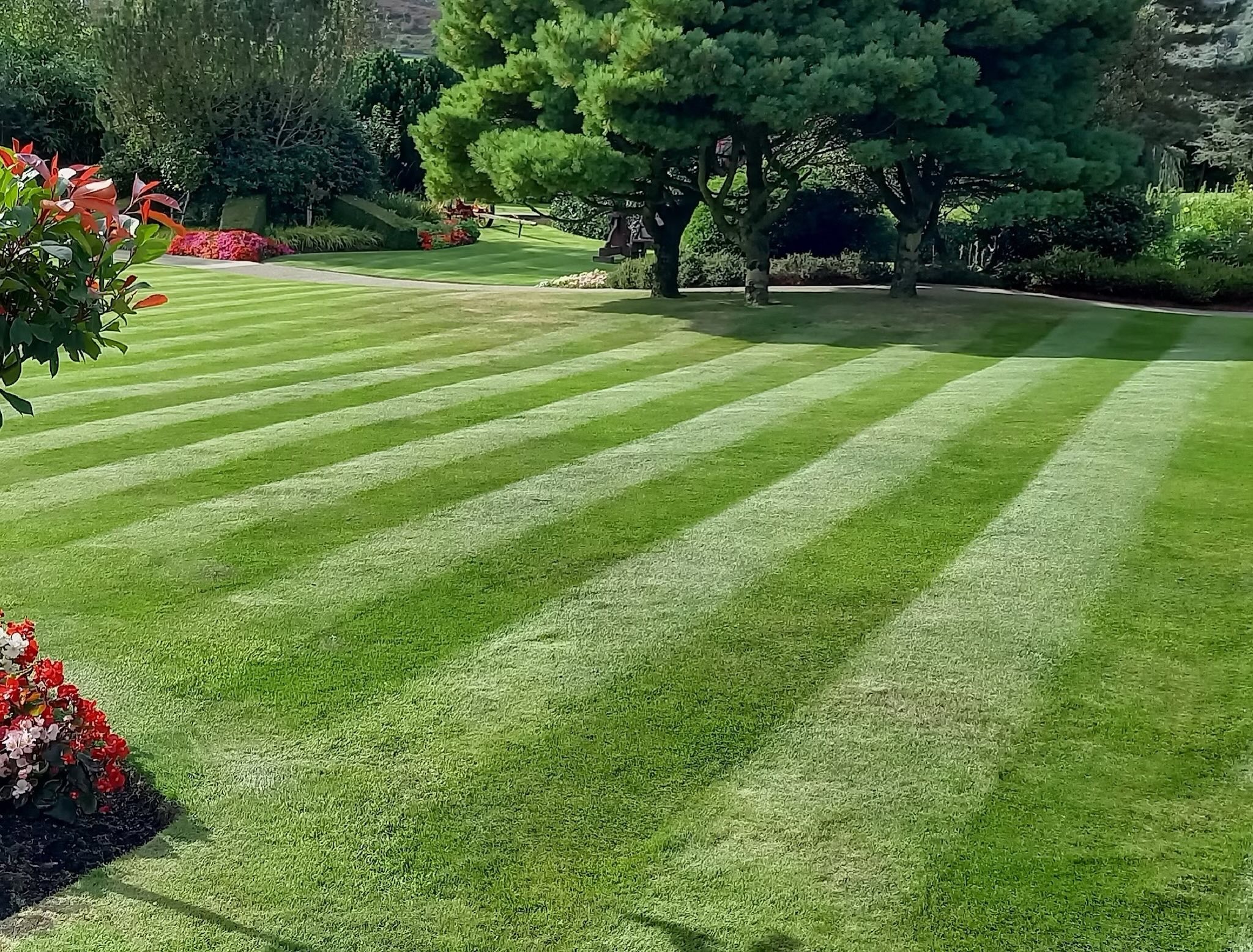 Schuylkill Tree & Landscaping