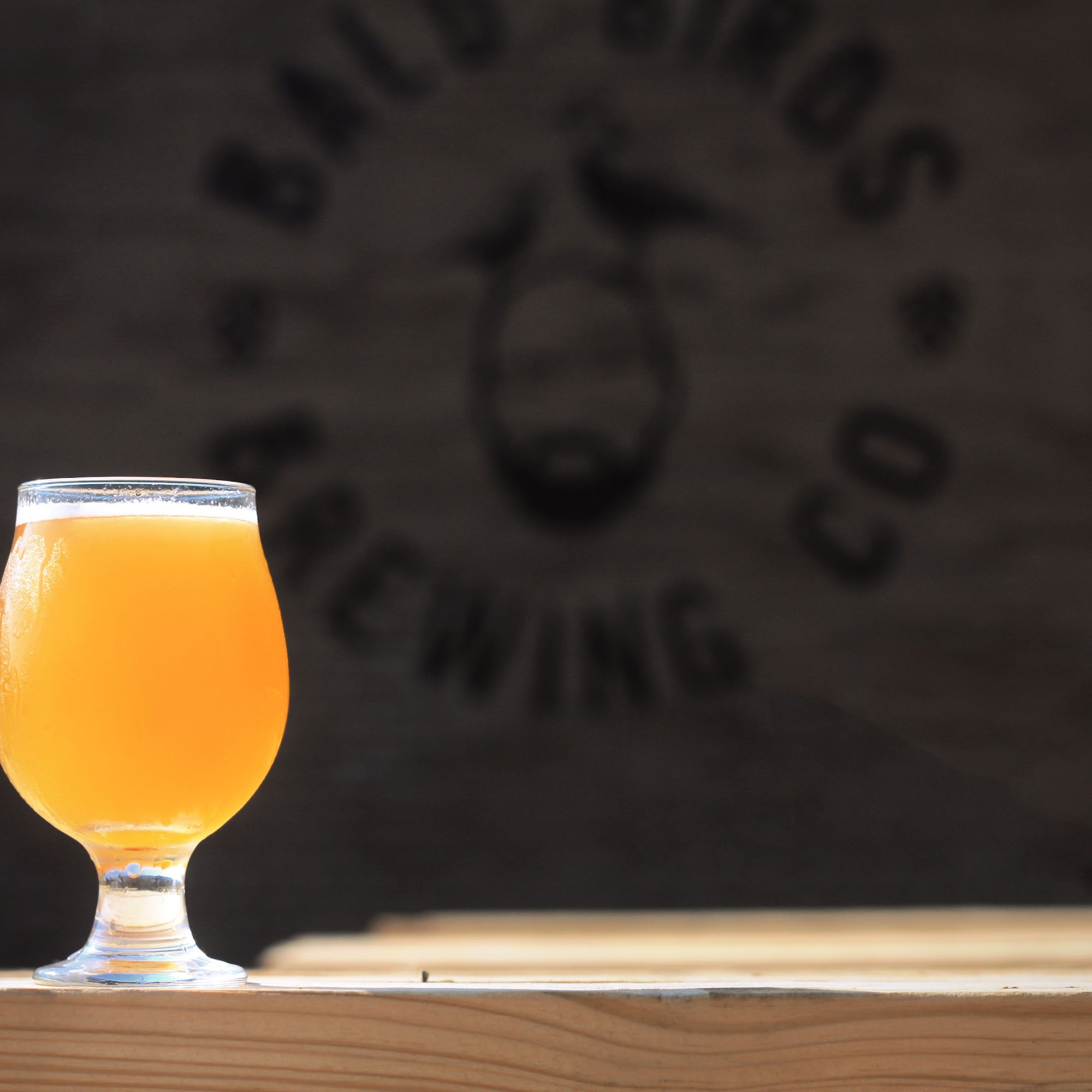 Bald Birds Brewing Company Audubon