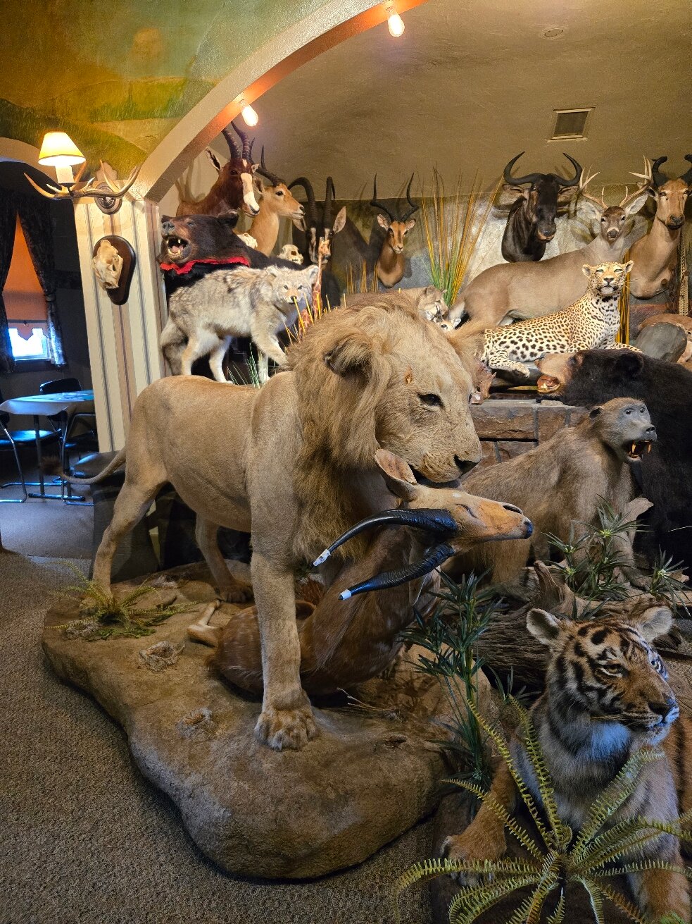 Photo credit: tripadvisor