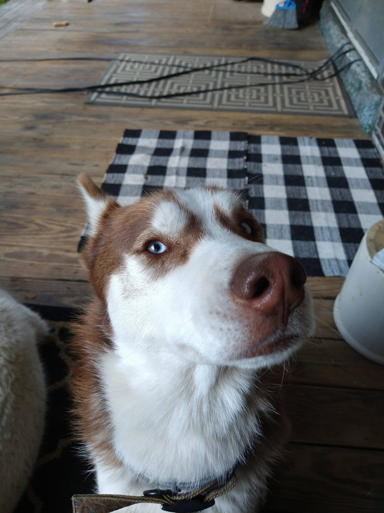 Husky Plumbing, Heating and Air Condition LLC