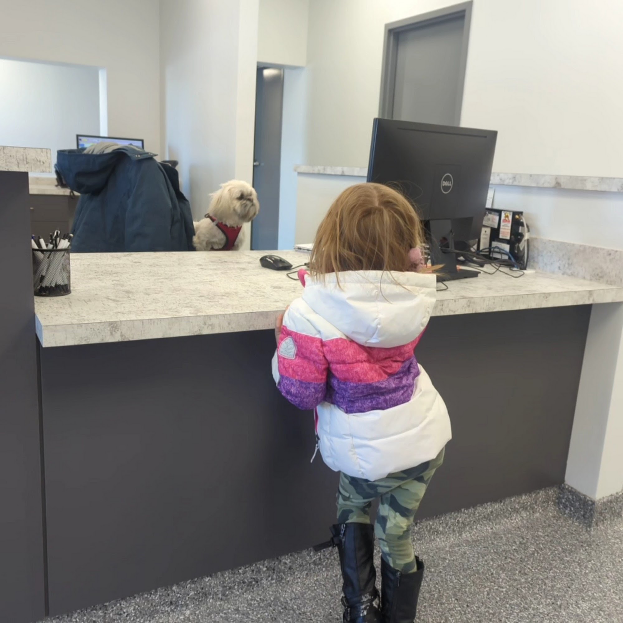 HanoverView Animal Hospital Bath