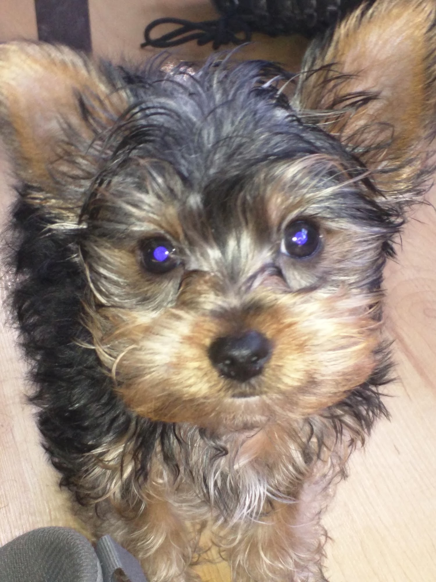 Nancy's Nest Beaver Falls