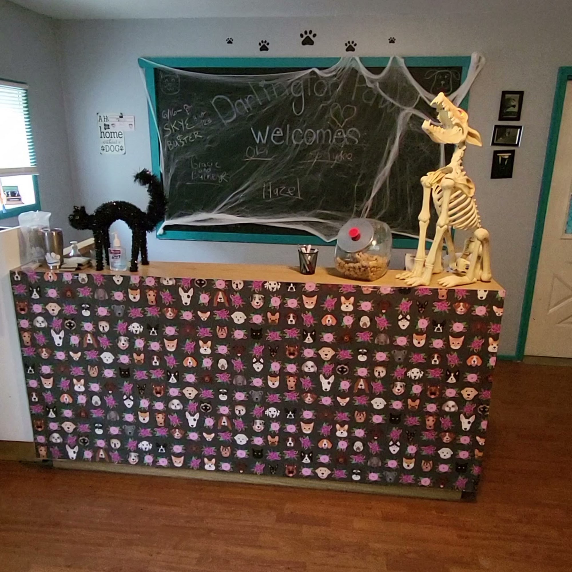 Darlington Paws Beaver Falls