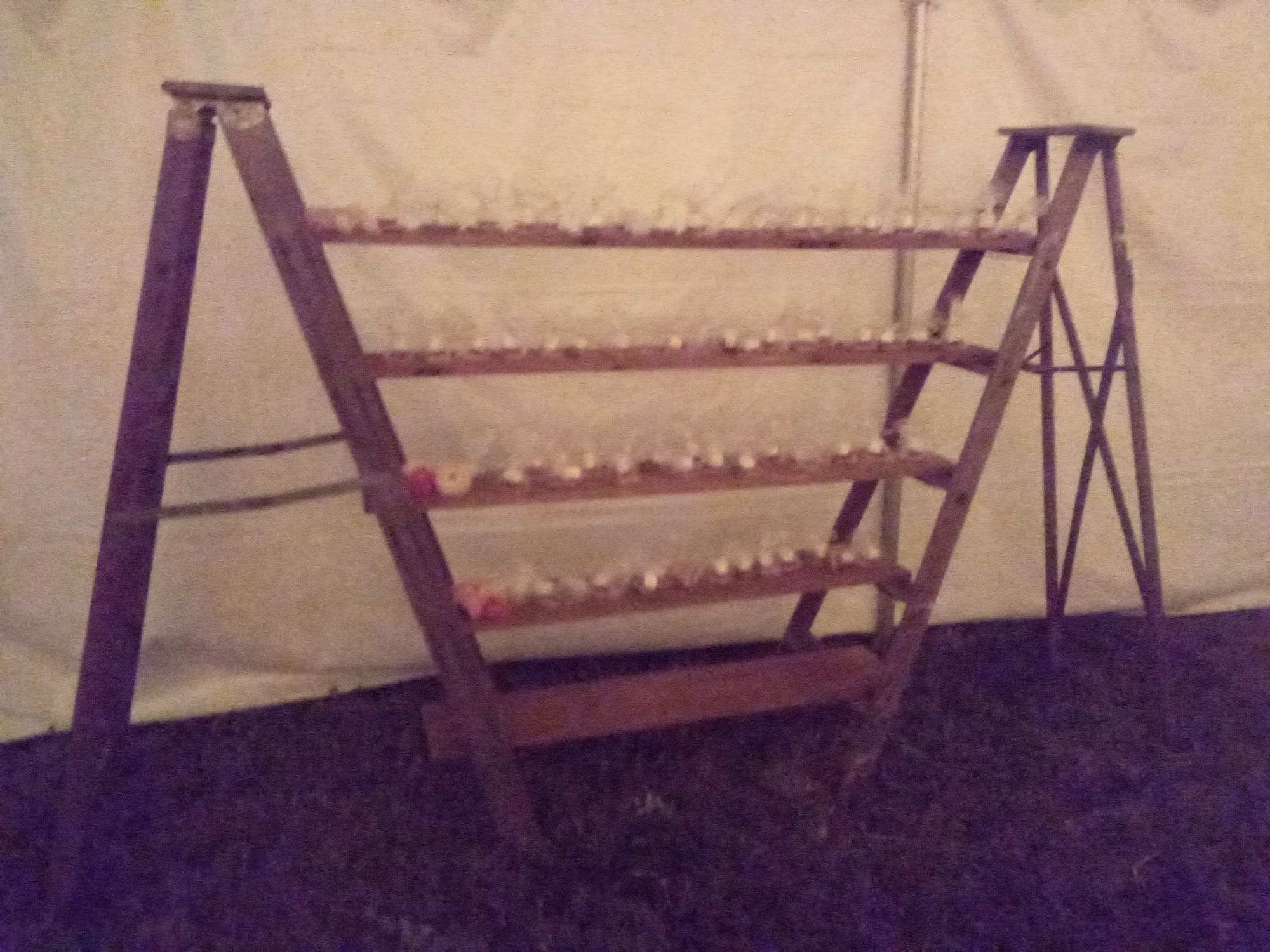 Ridgewood Winery on Daffodil Hill Farm Bechtelsville