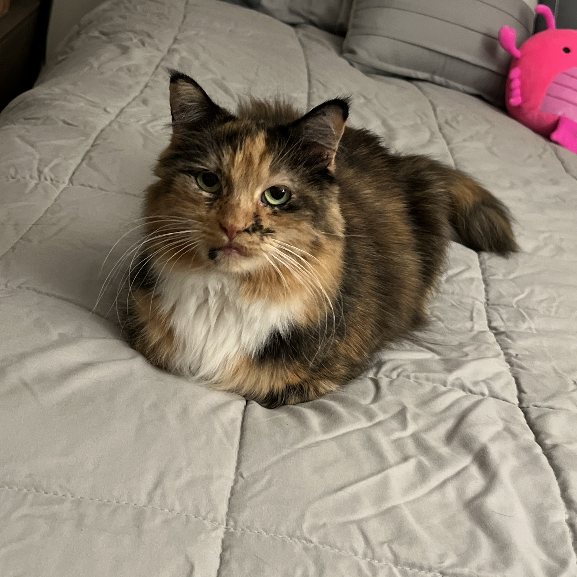 The Bridge Clinic Bensalem