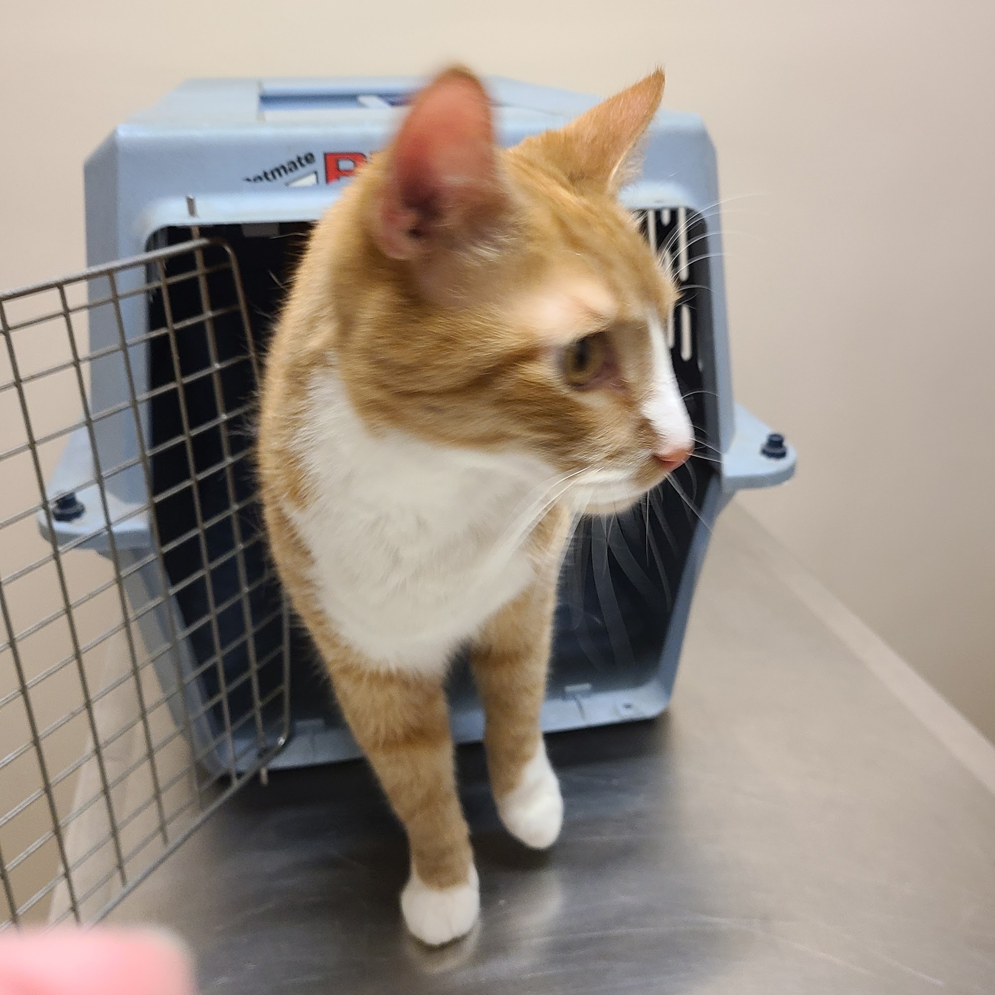 World of Animals at Bensalem Bensalem