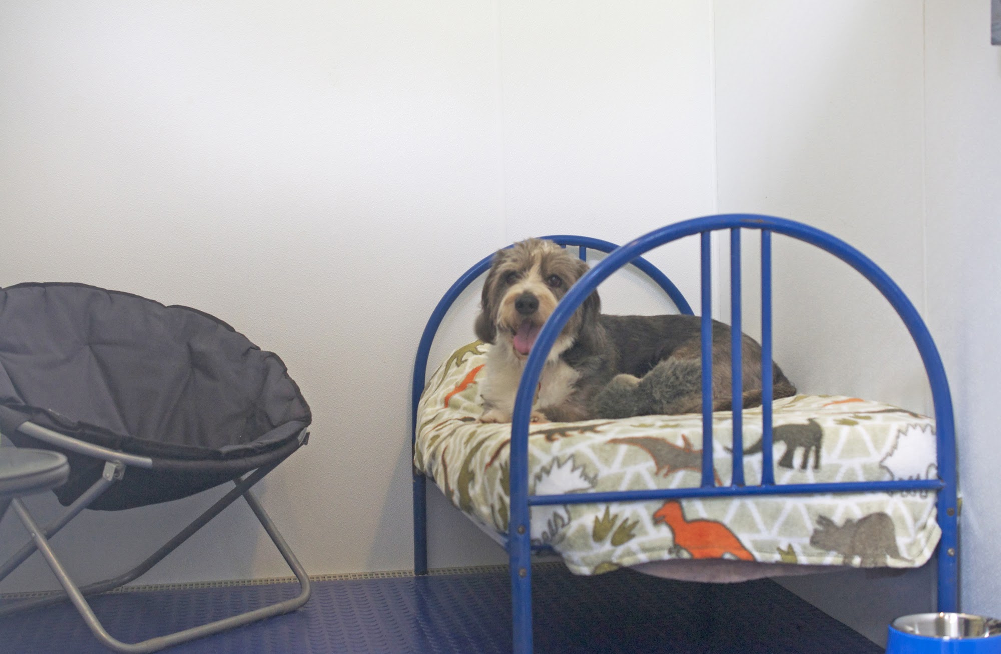 Pine Creek Kennels Pet Resort Benton