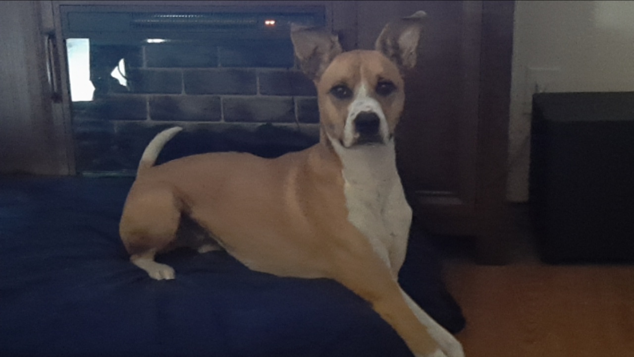 Lily's House Berwick