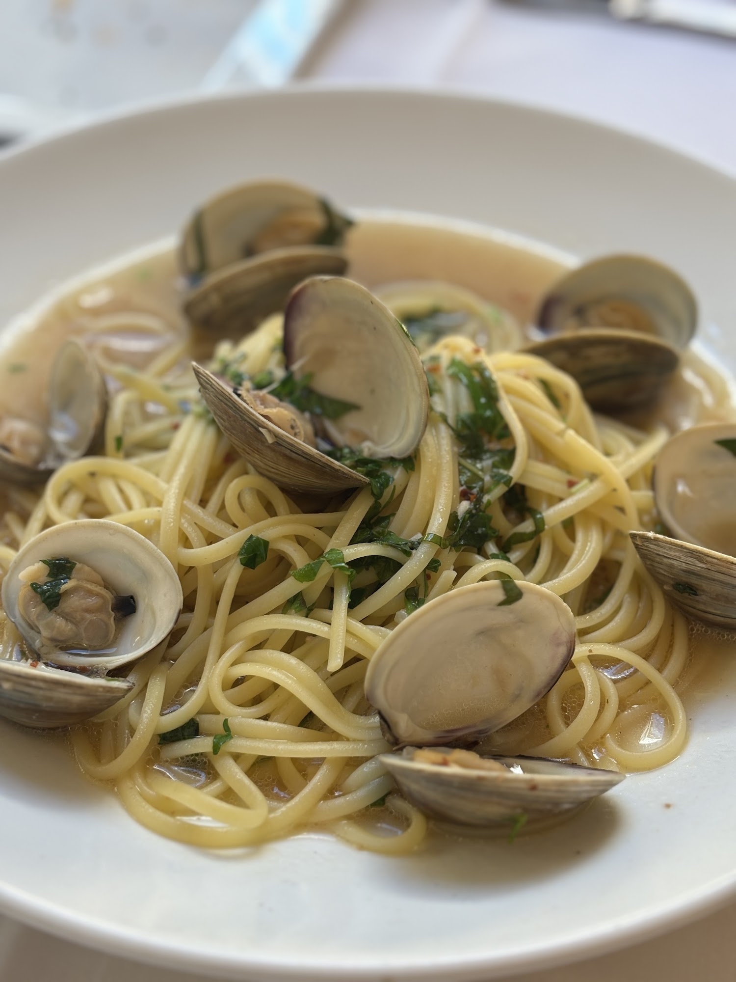 Tiramisu Cucina Romana Berwyn