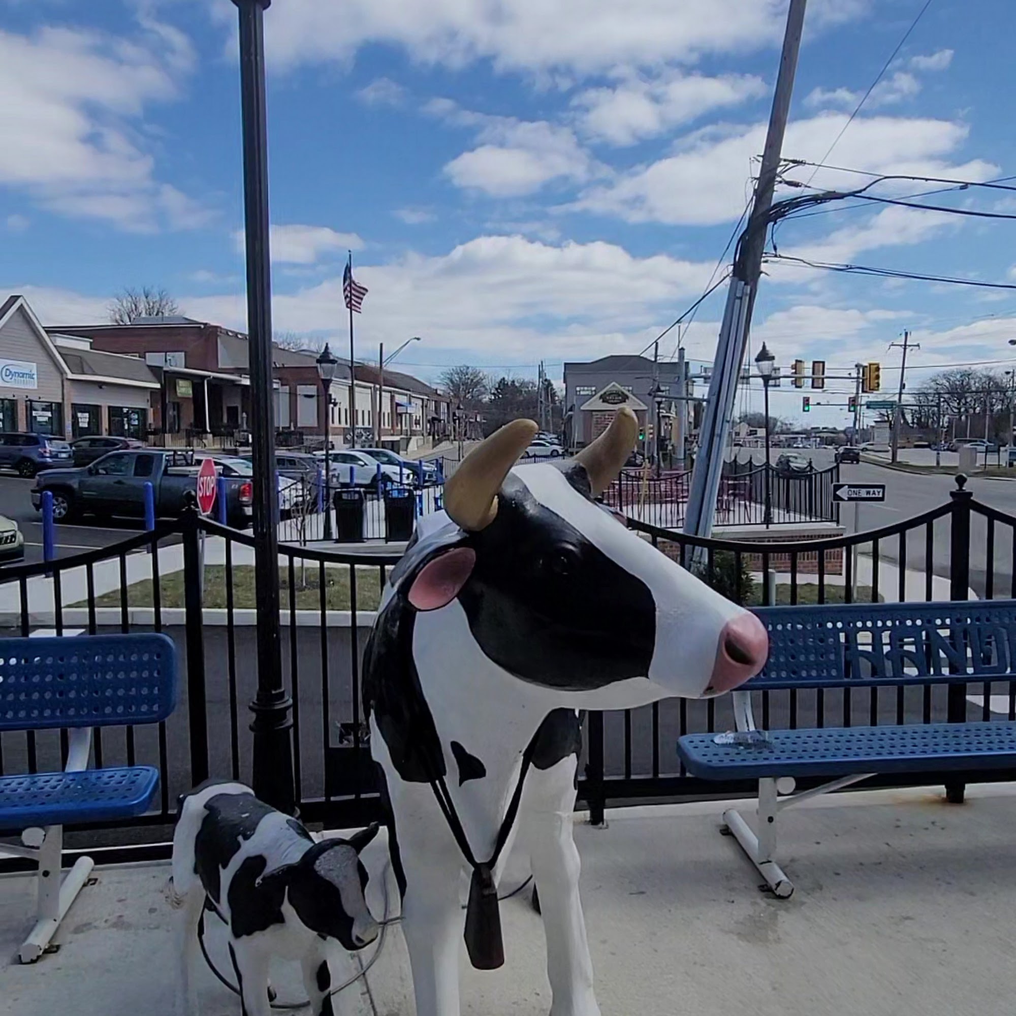 Handel's Homemade Ice Cream & Yogurt Berwyn